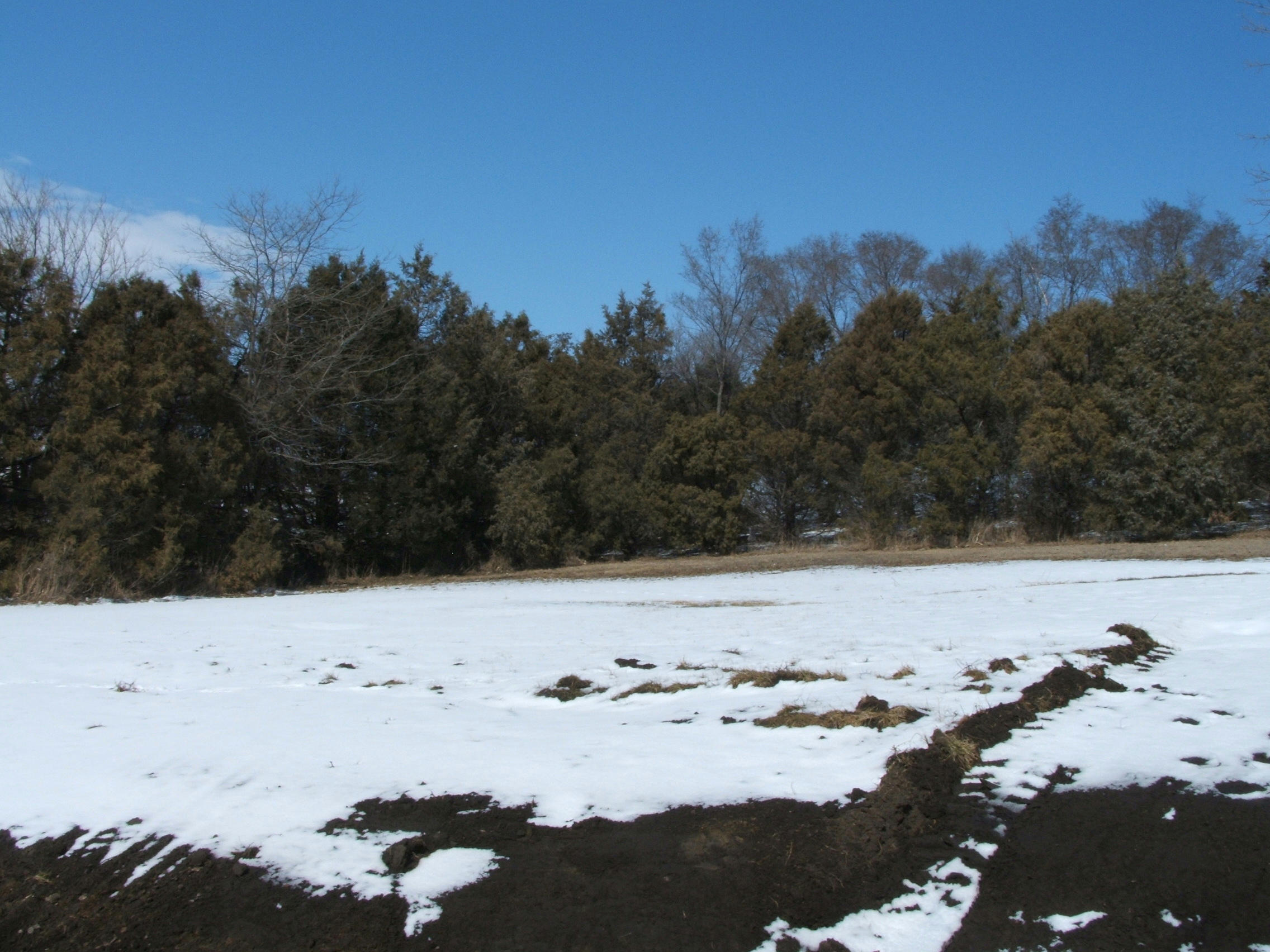 25853 HWY 37