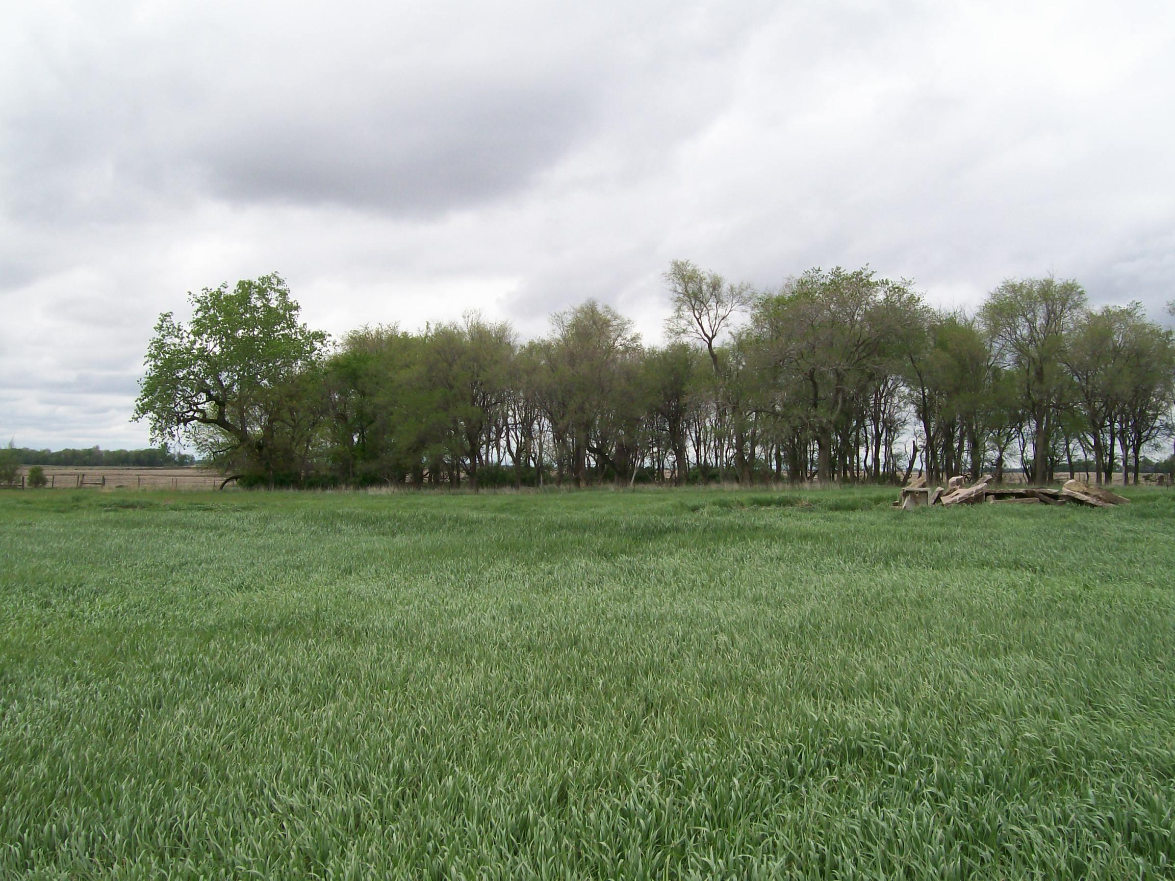 42780 S.D. HWY 38