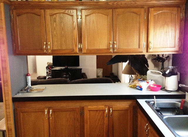 1401 S Main Lot #60