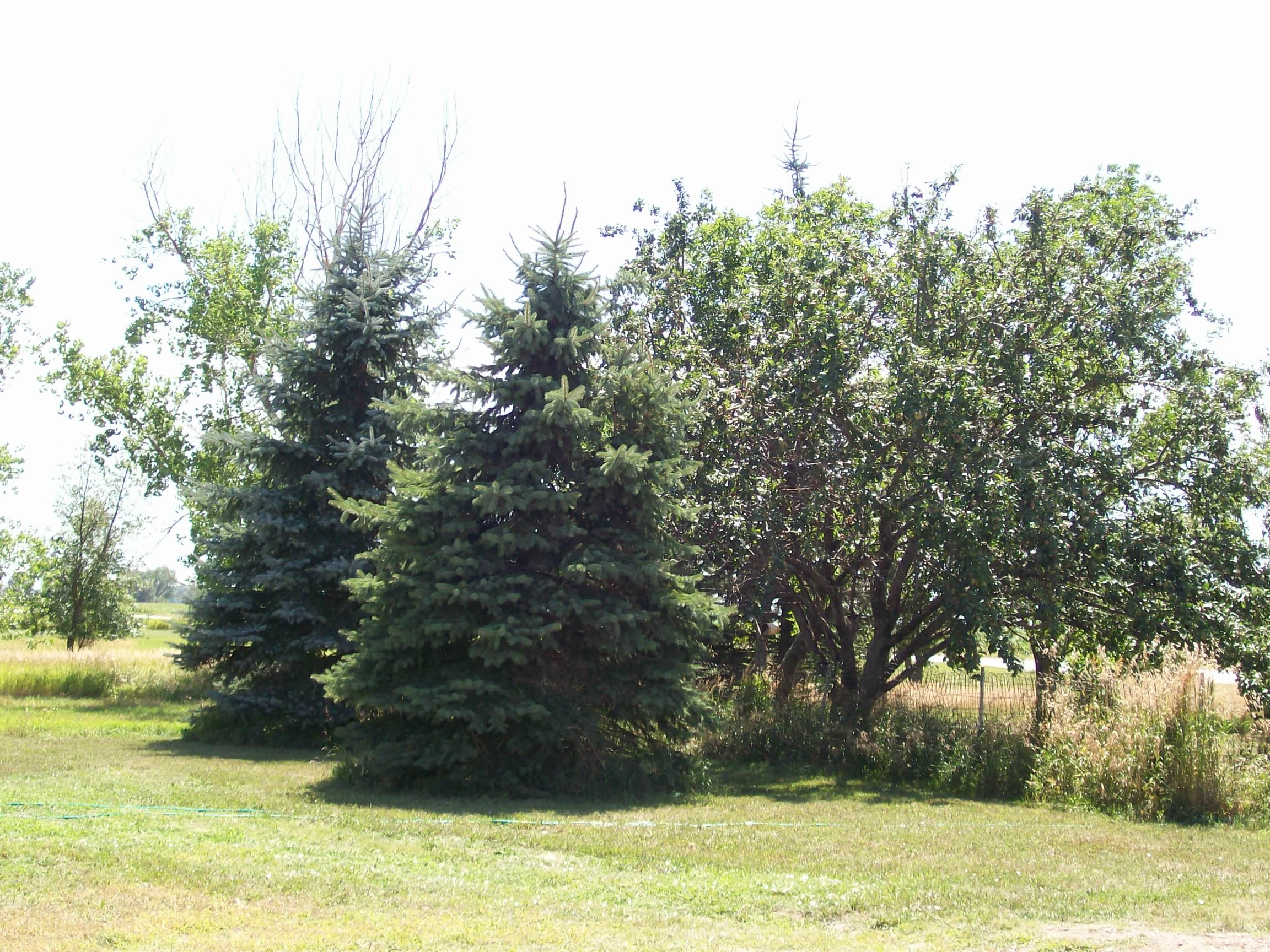 26740 S Highway 37