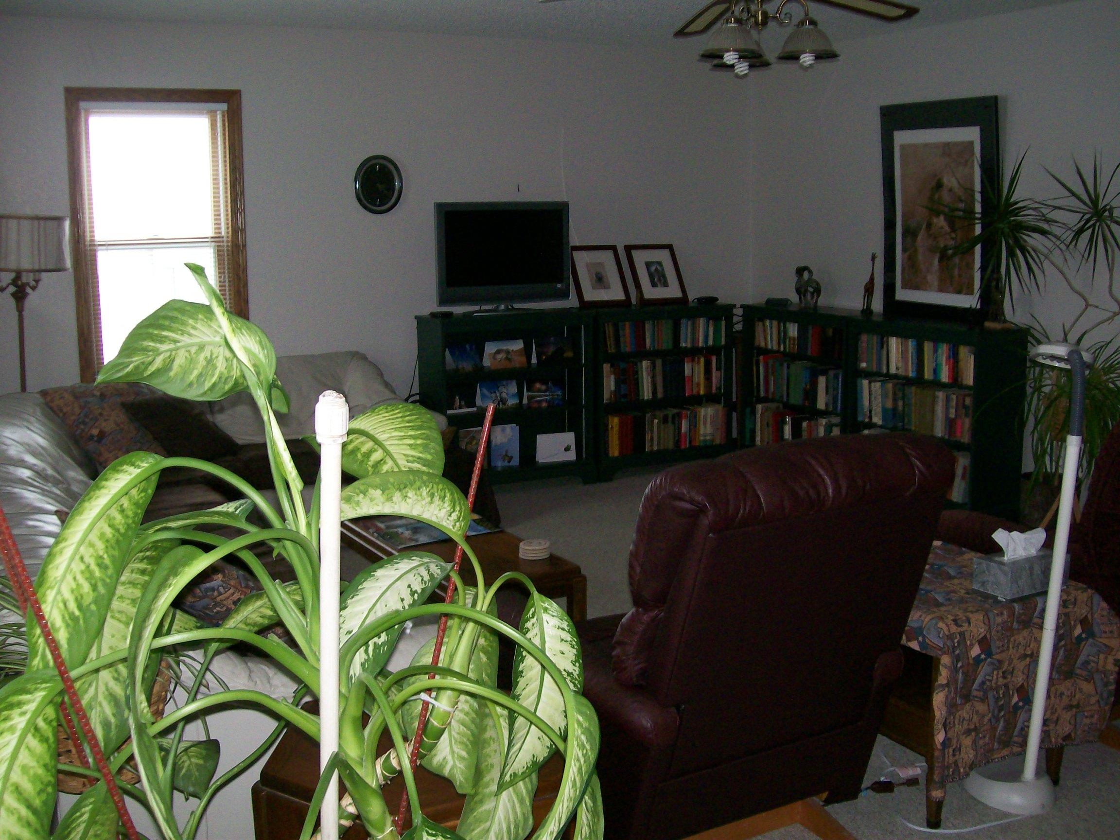 406 East Elm St