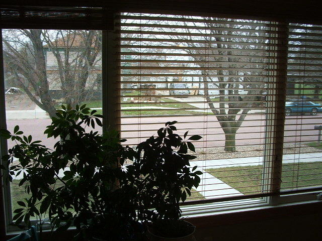910 N Mentzer