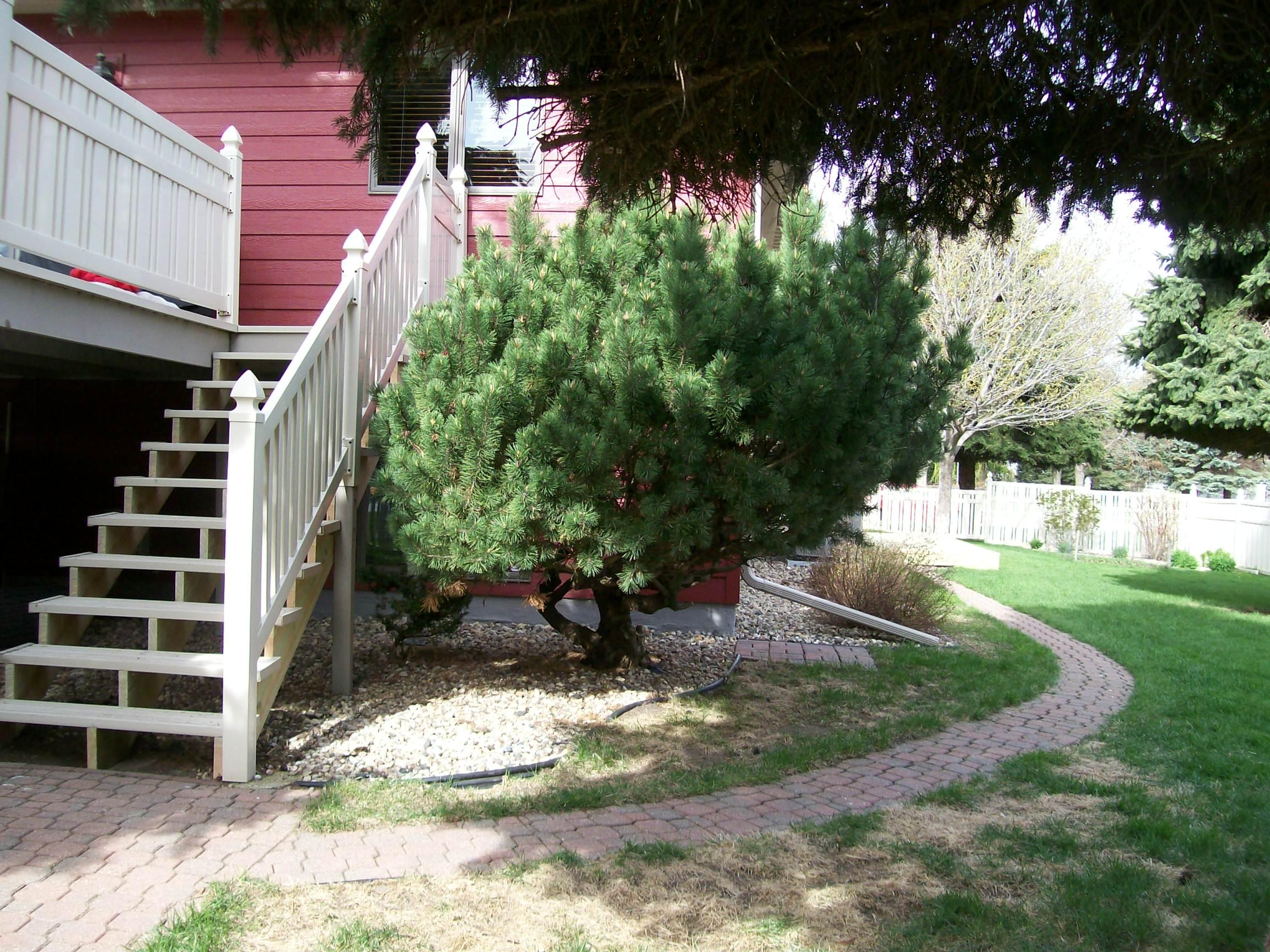1424 Pebble Beach Rd
