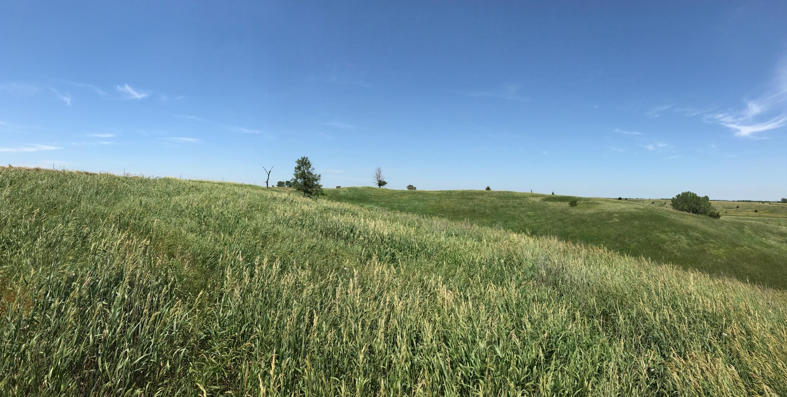 Hillside Dr