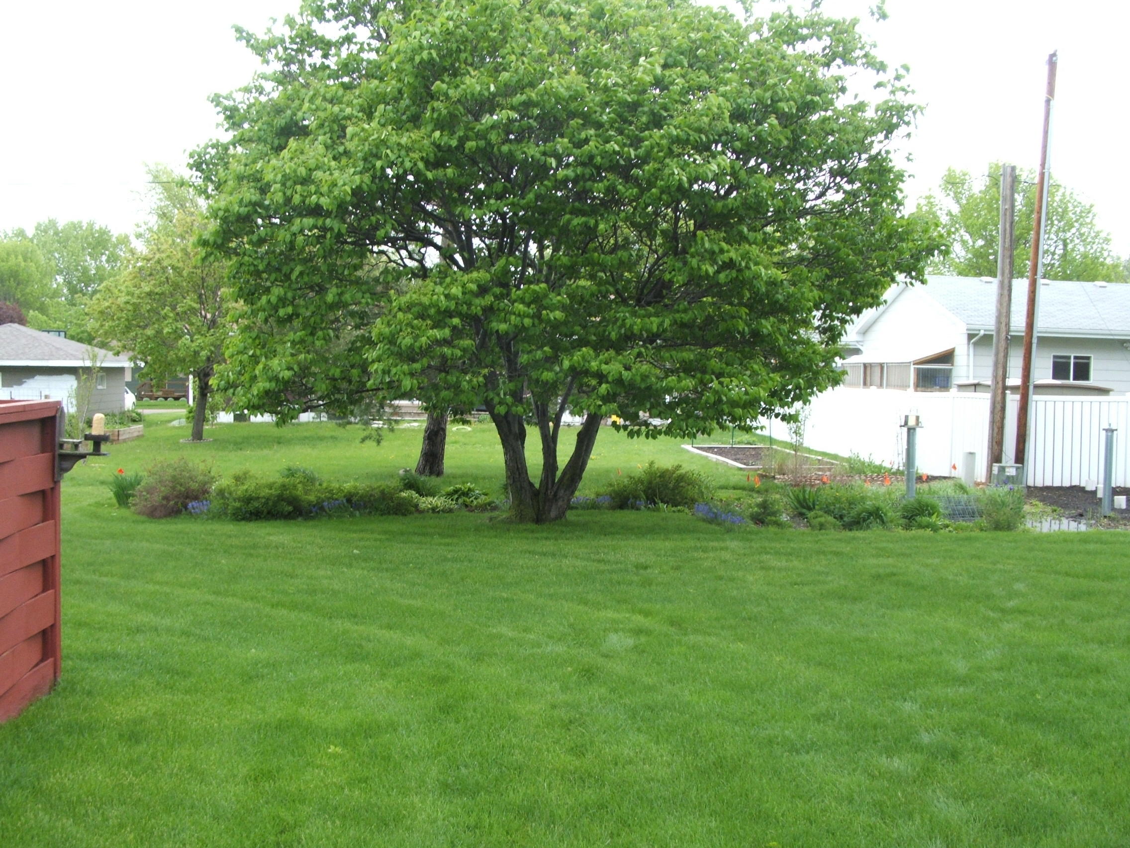 1306 Palmer Place