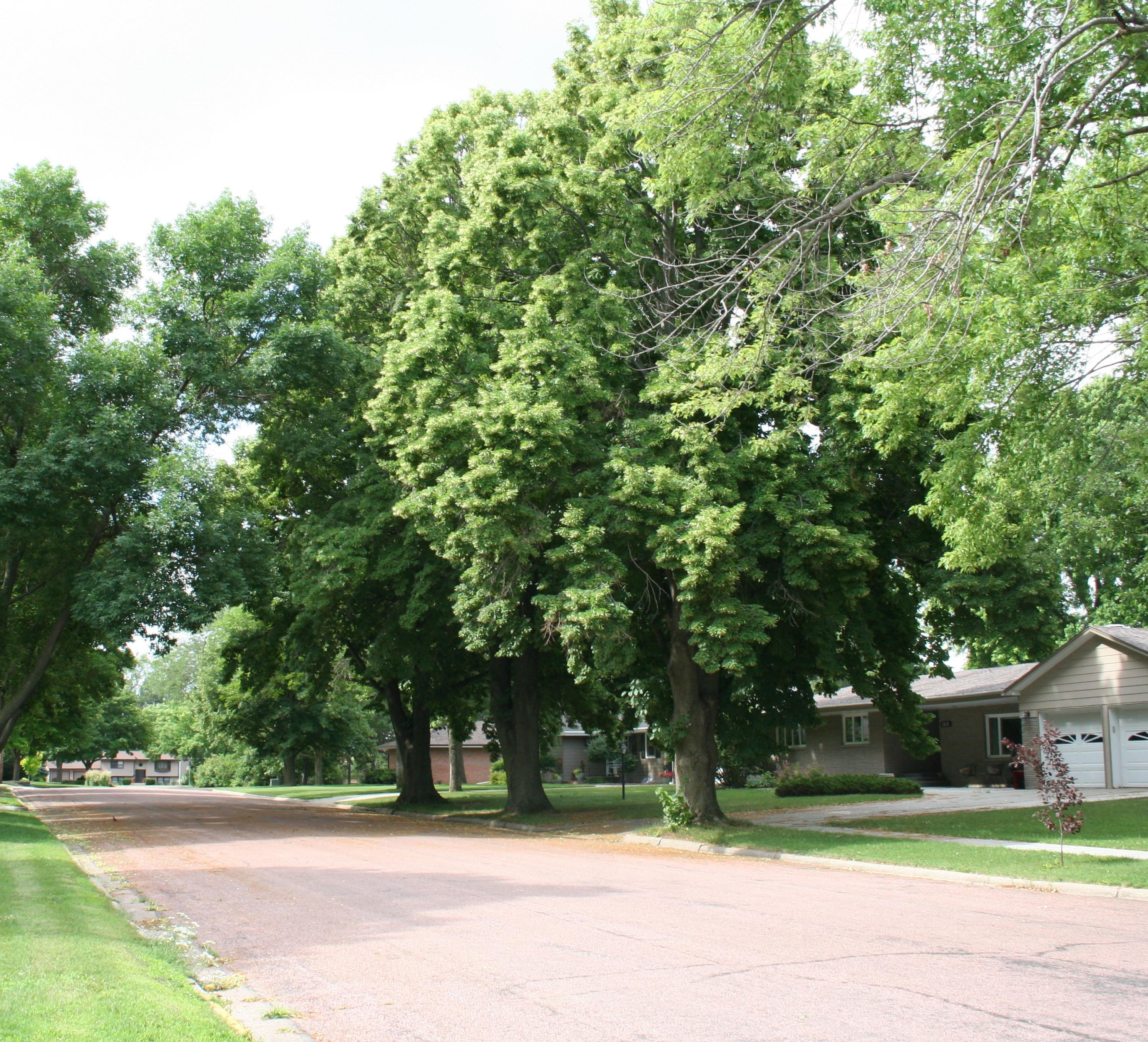 1300 S Minnesota St