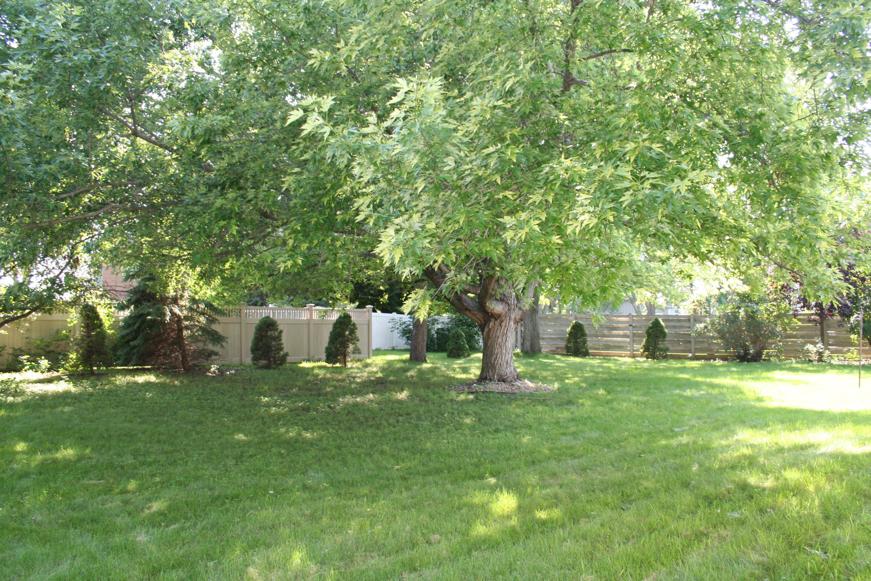 1105 Chalkstone Dr