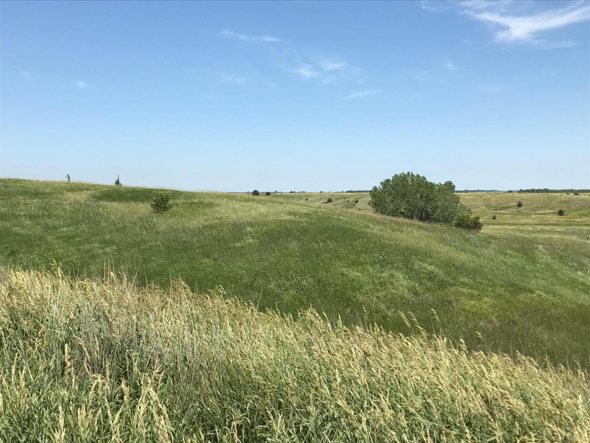 Prairie Hills Dr