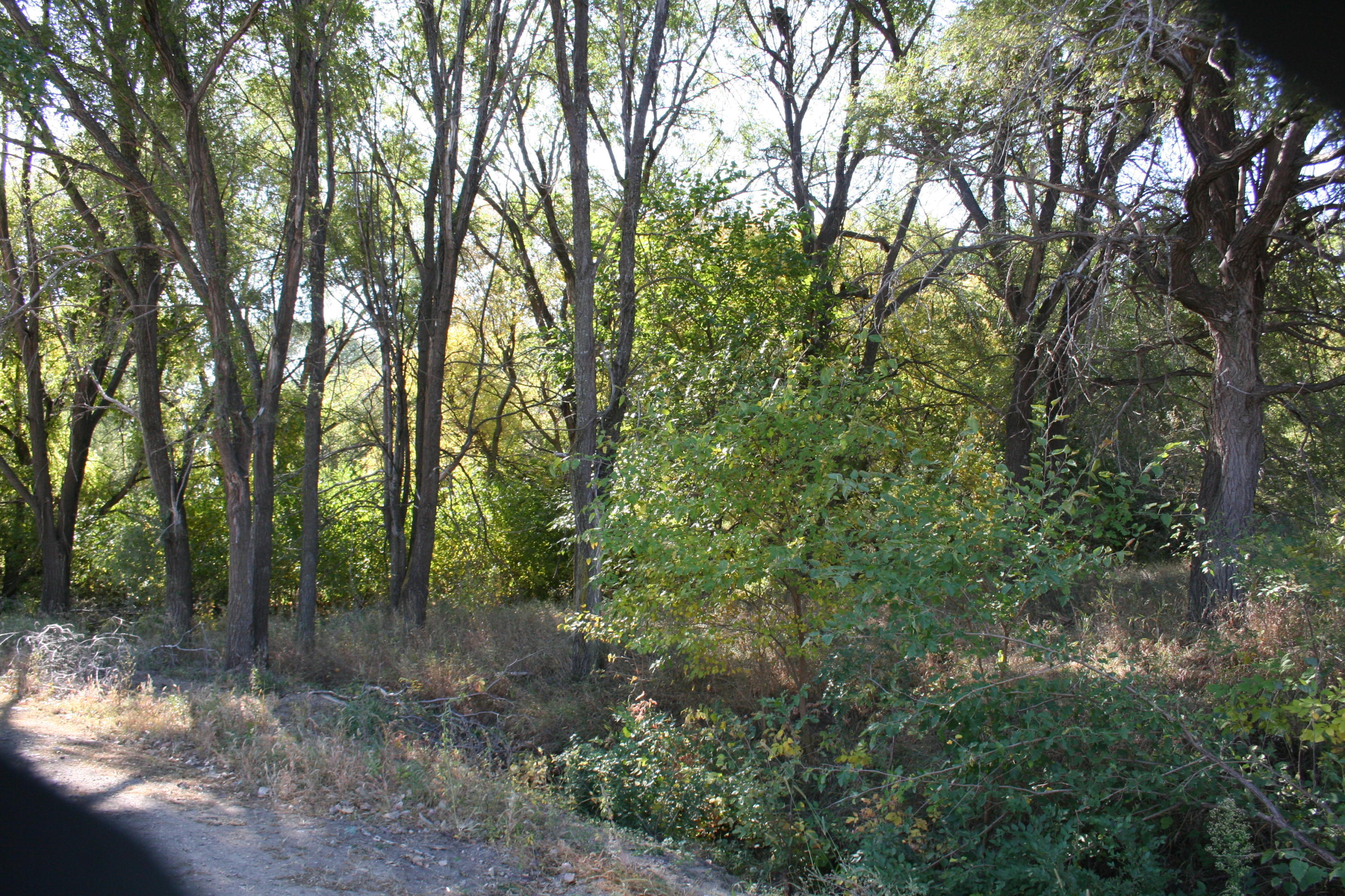 RIVER BLUFFS-NW LOT 18