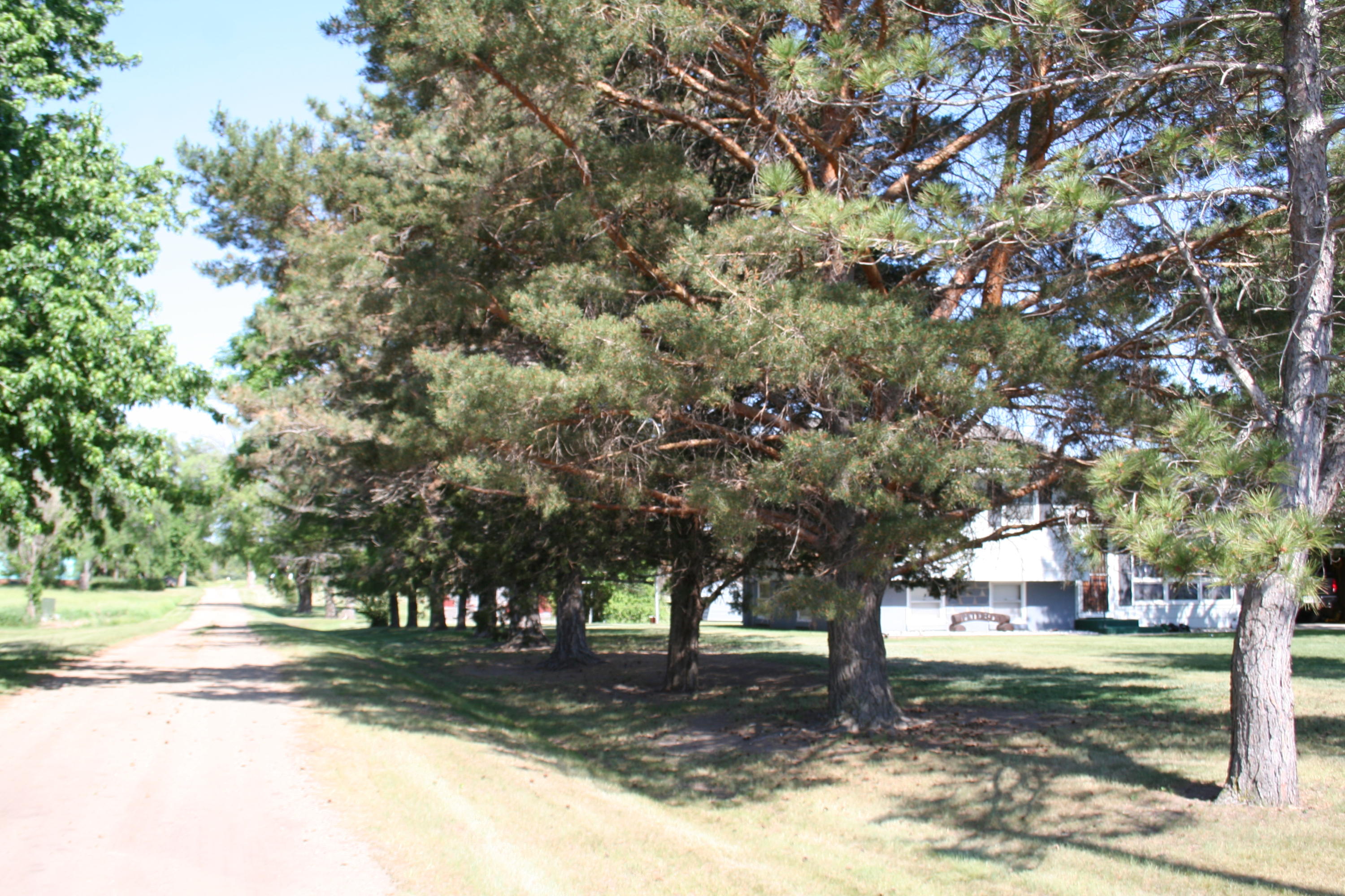 87 N Harmon Dr