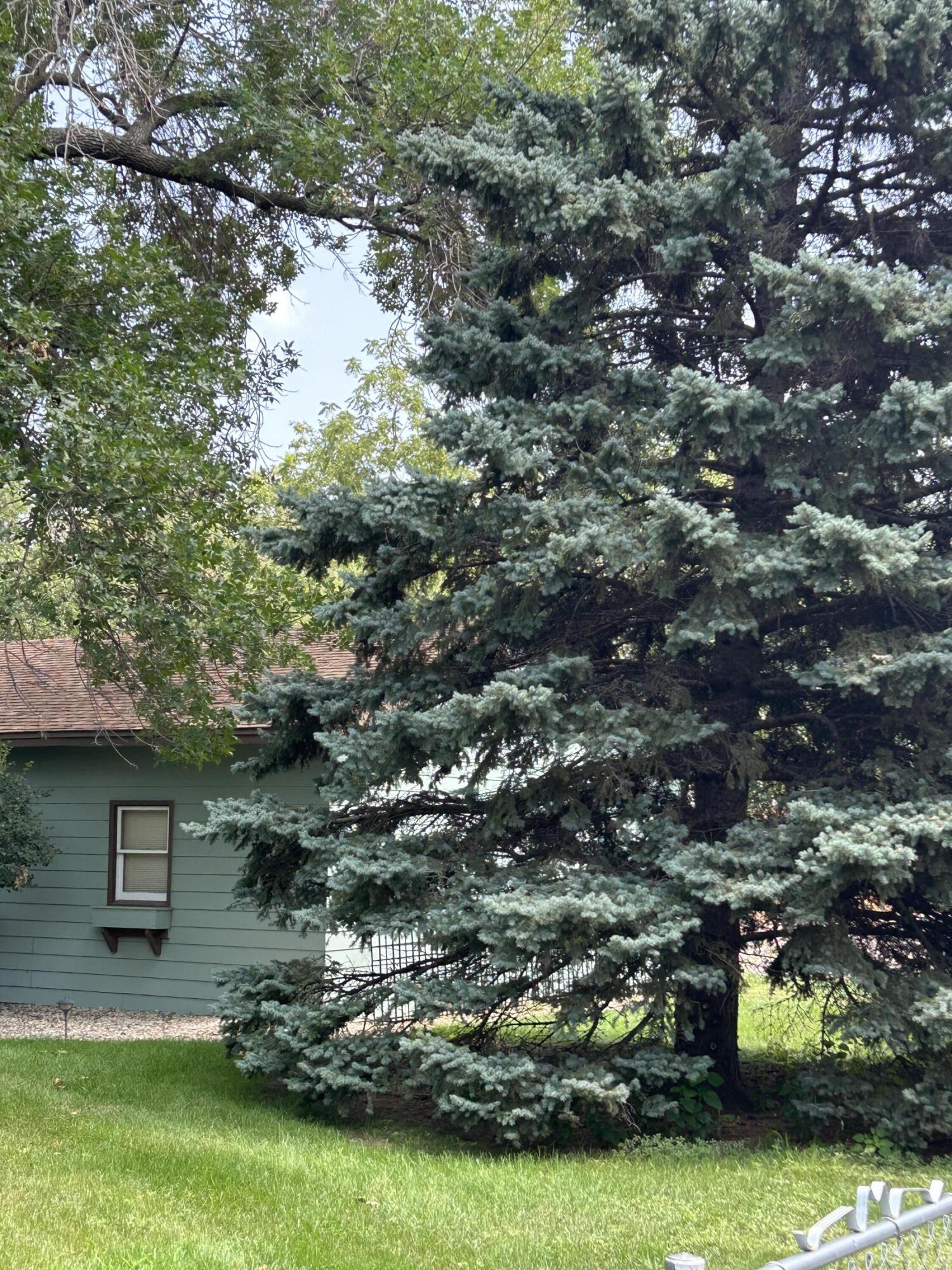 910 Foss Place