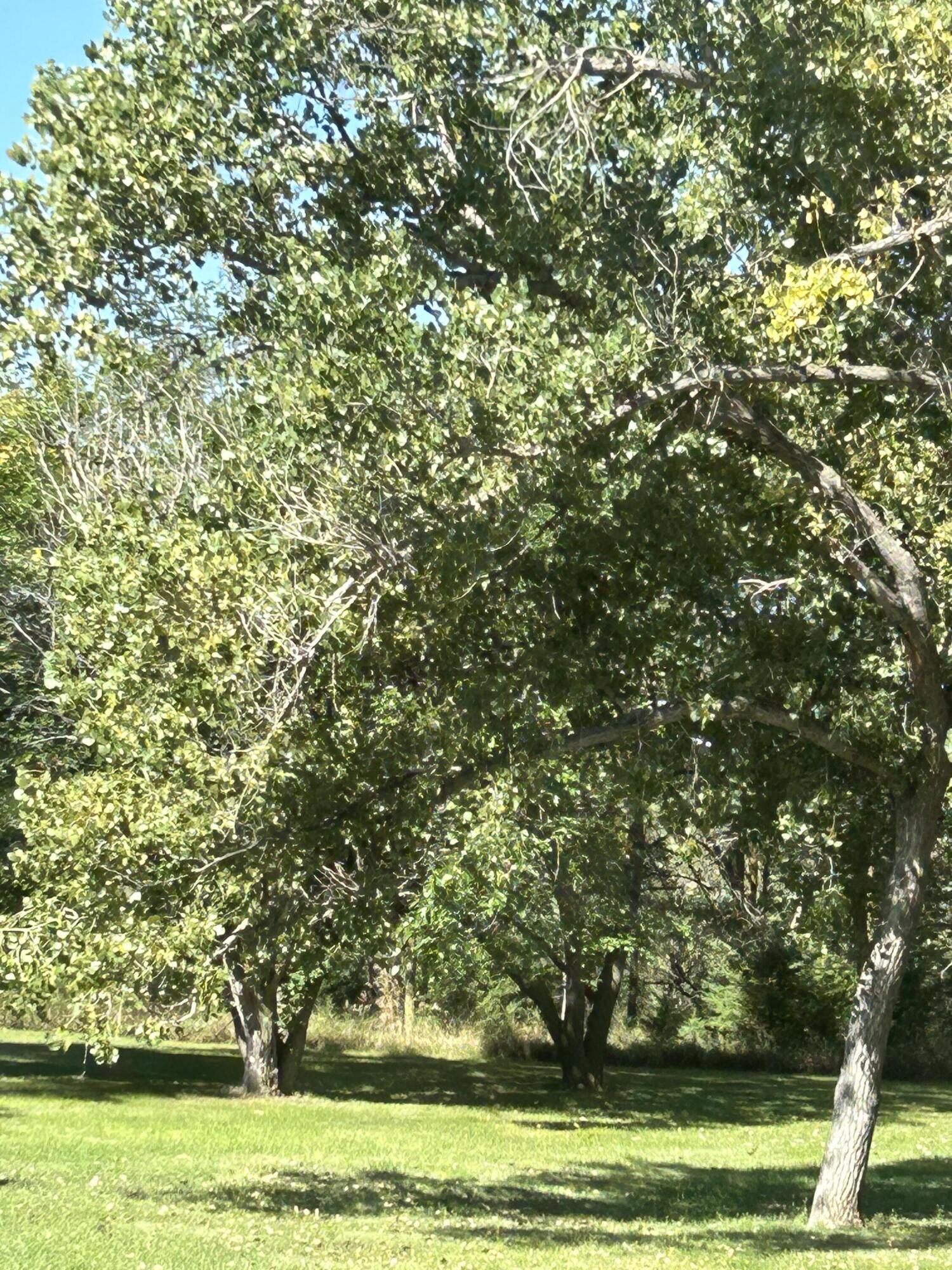 Parkston