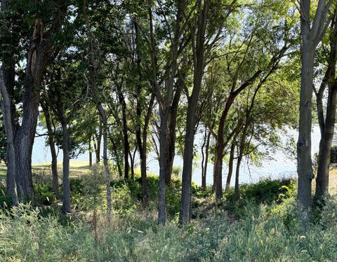 166 N Harmon Dr