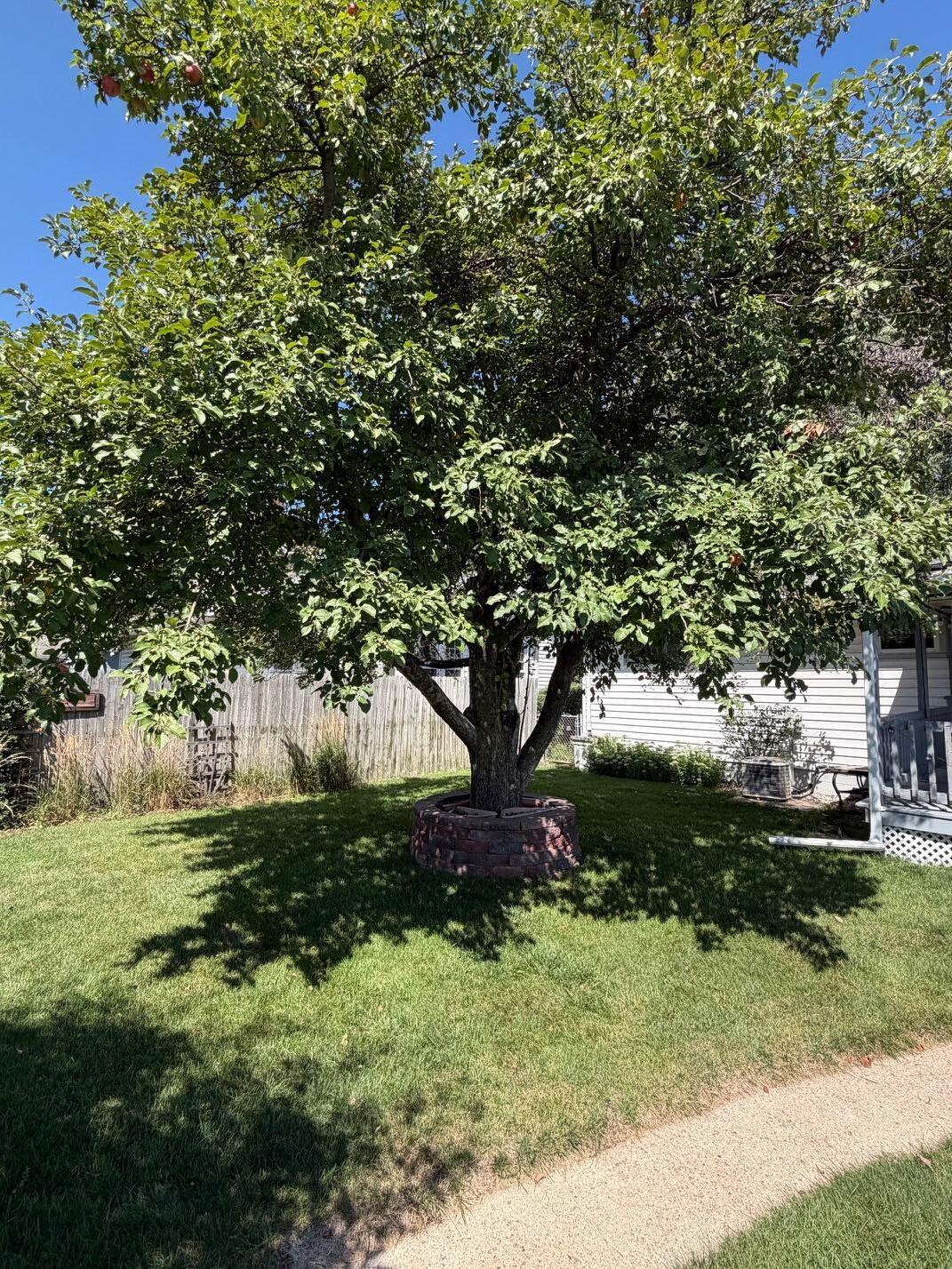 407 W 13th Ave