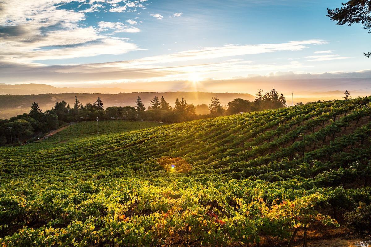 151 Saw Mill Cir #202