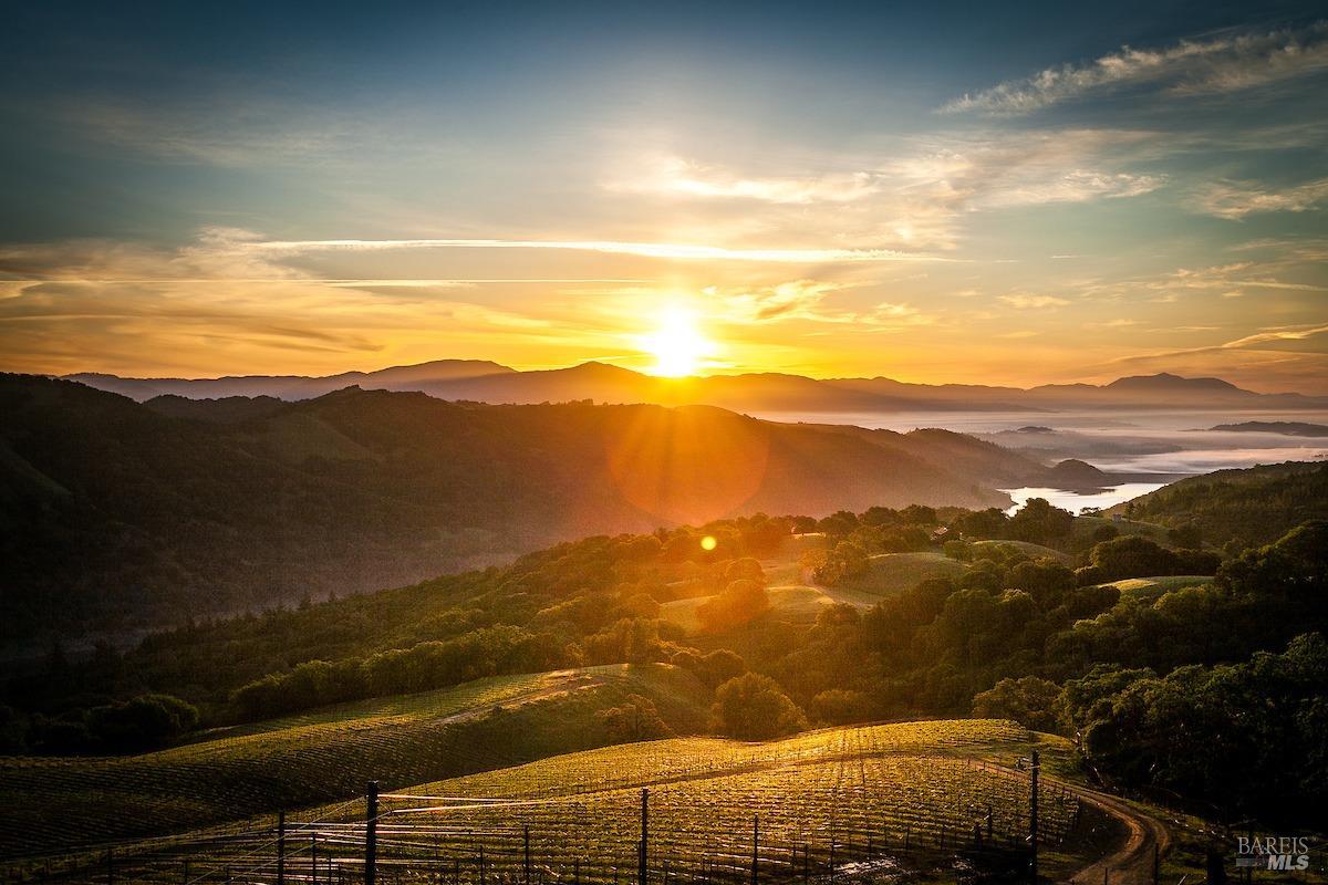 131 Saw Mill Cir #204