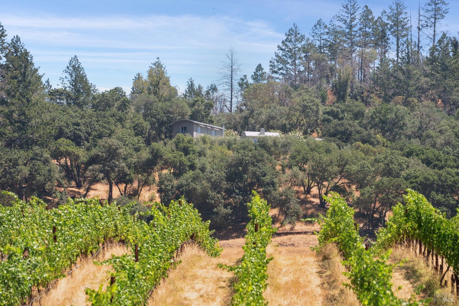 13414 Chalk Hill Road
