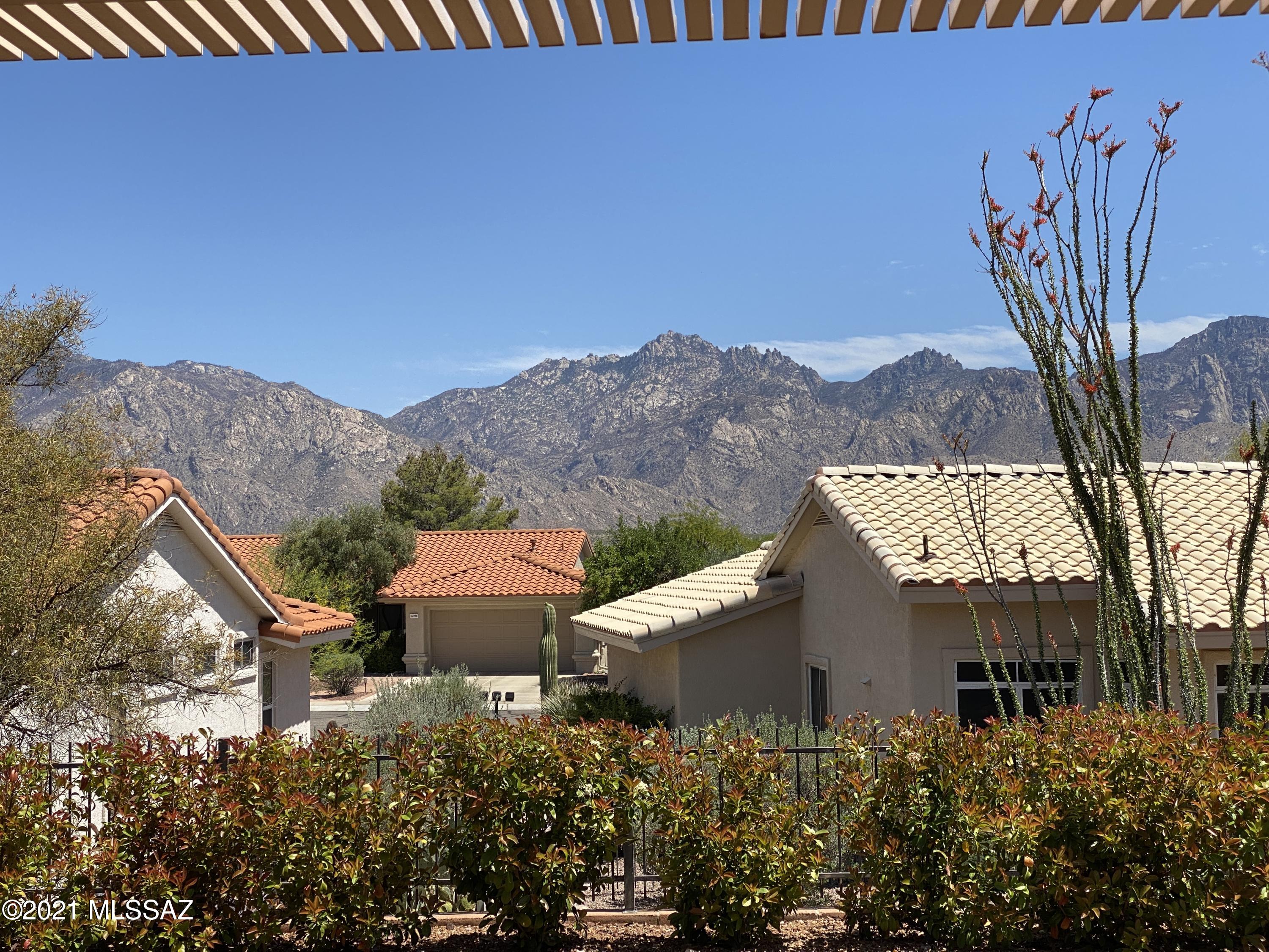 2348 E Coreopsis Way