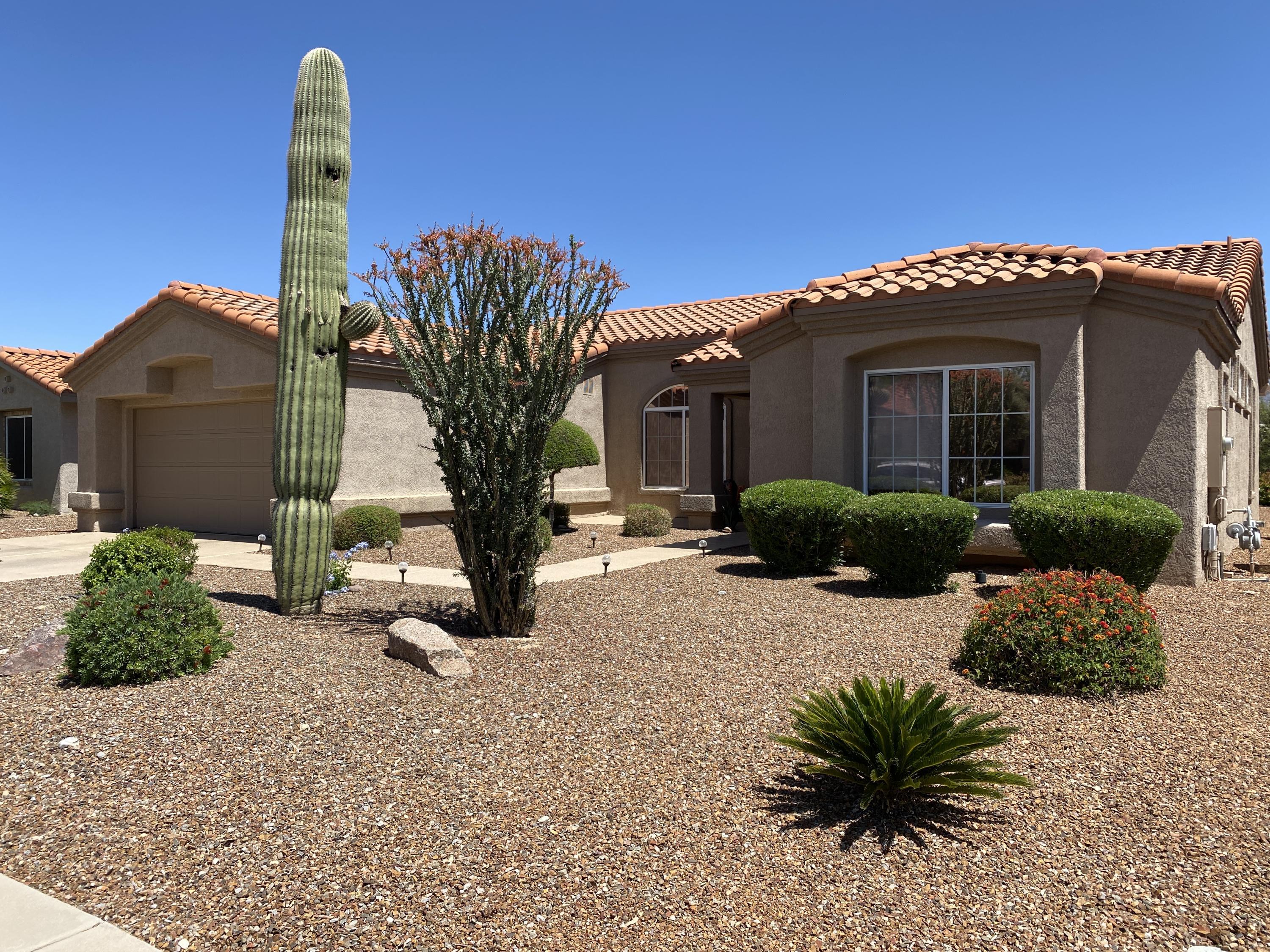 2348 E Coreopsis Way