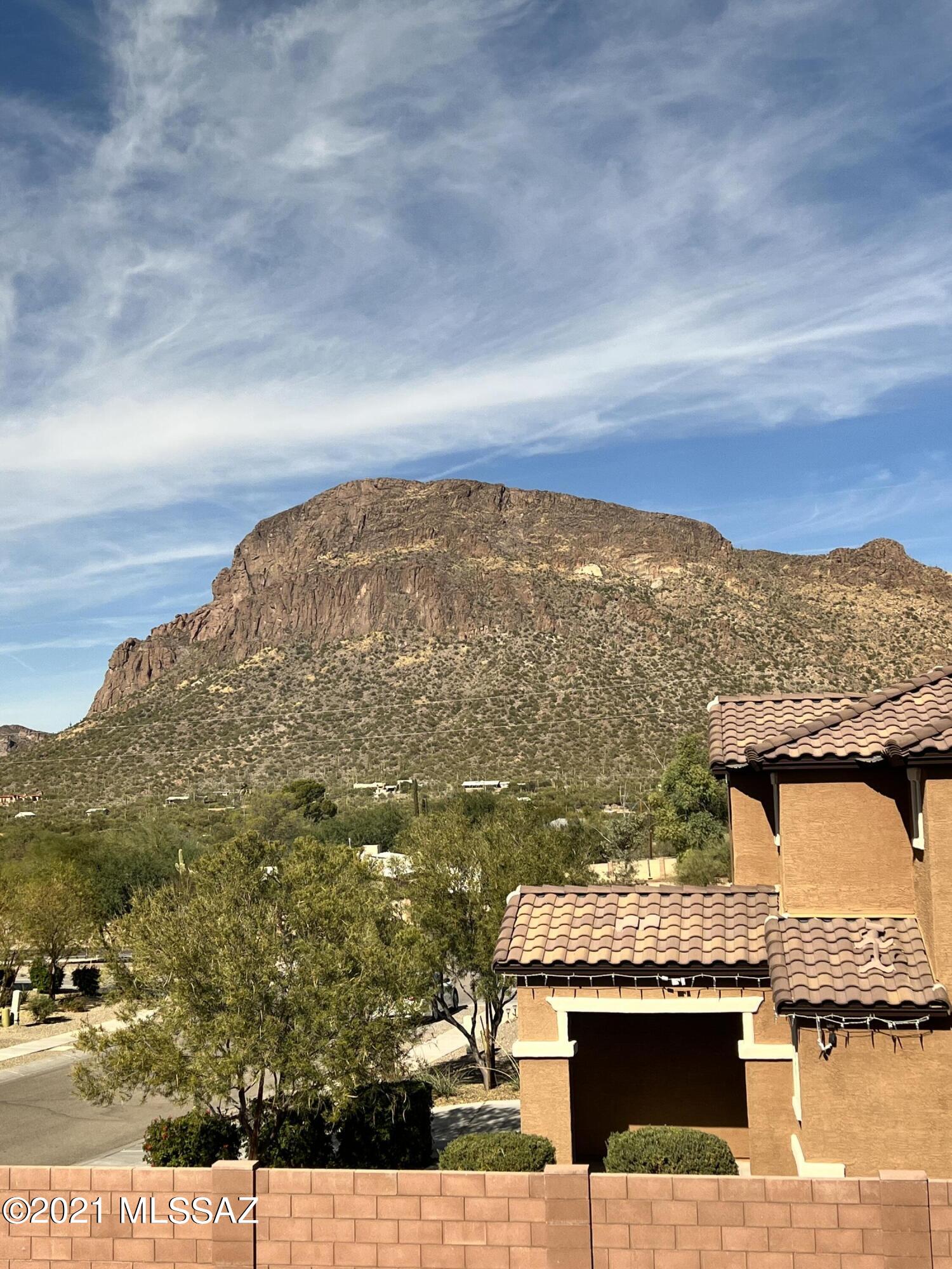 4300 W Bushmaster Peak Drive