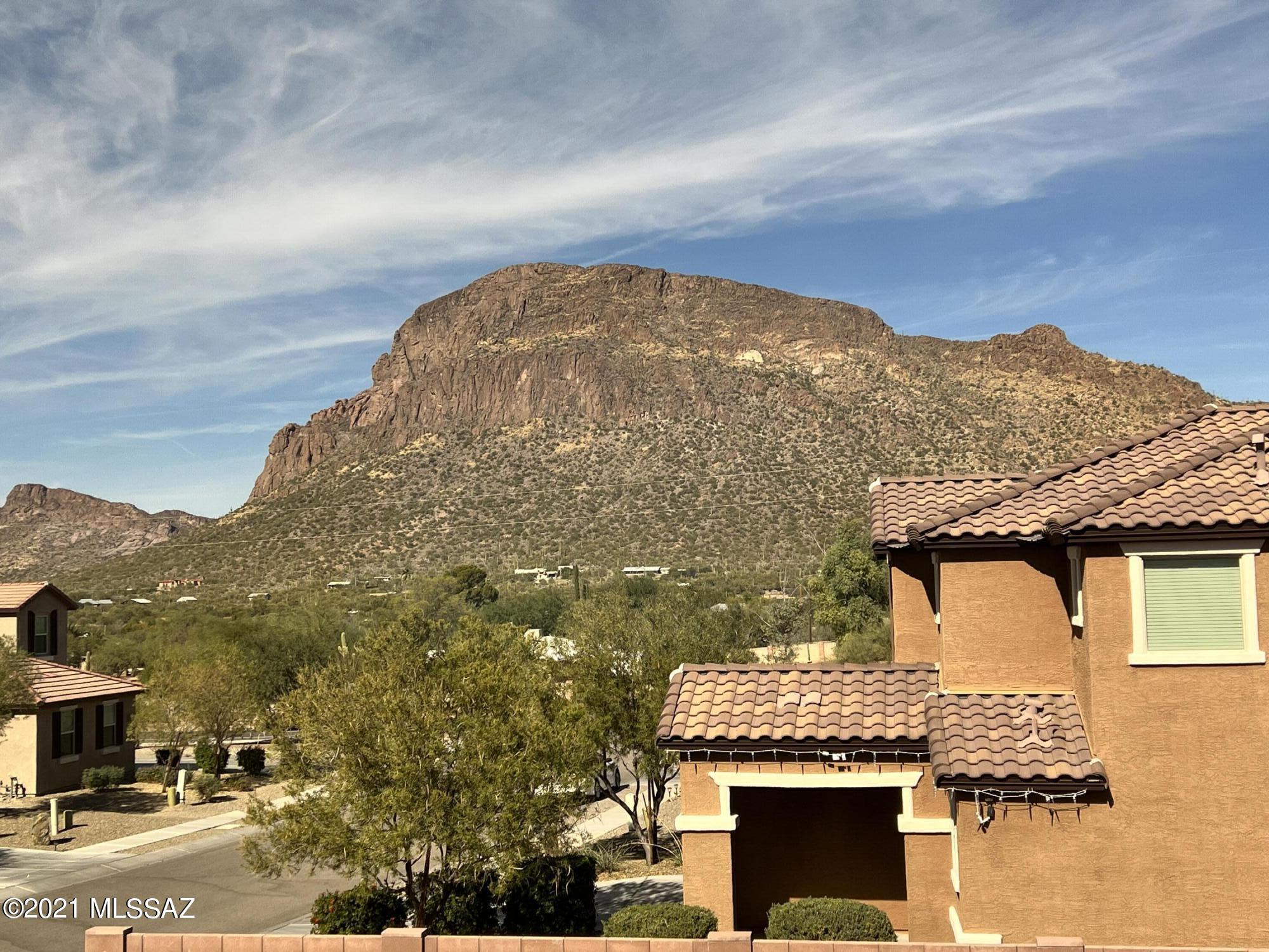 4300 W Bushmaster Peak Drive