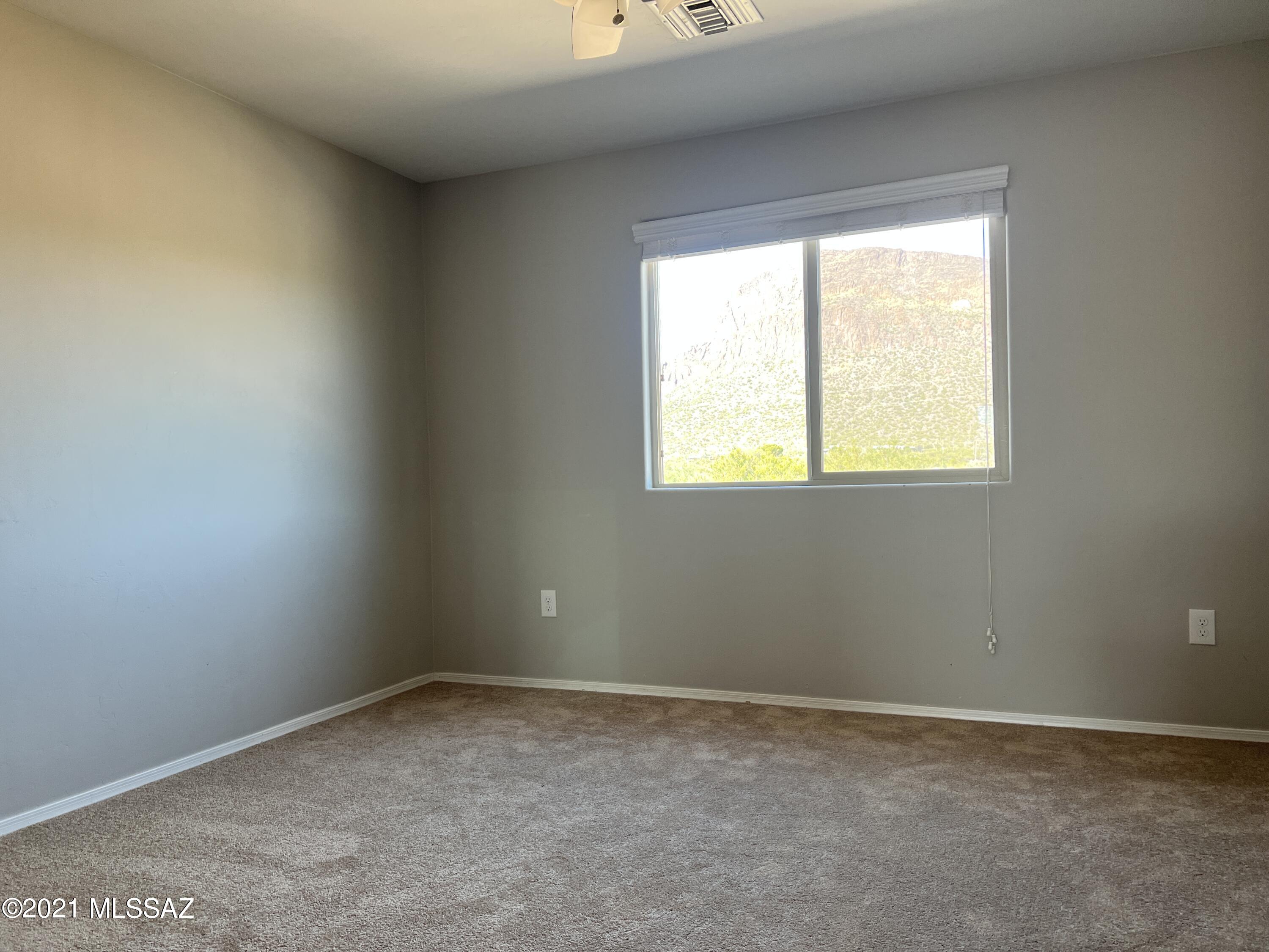 4300 W Bushmaster Peak Drive