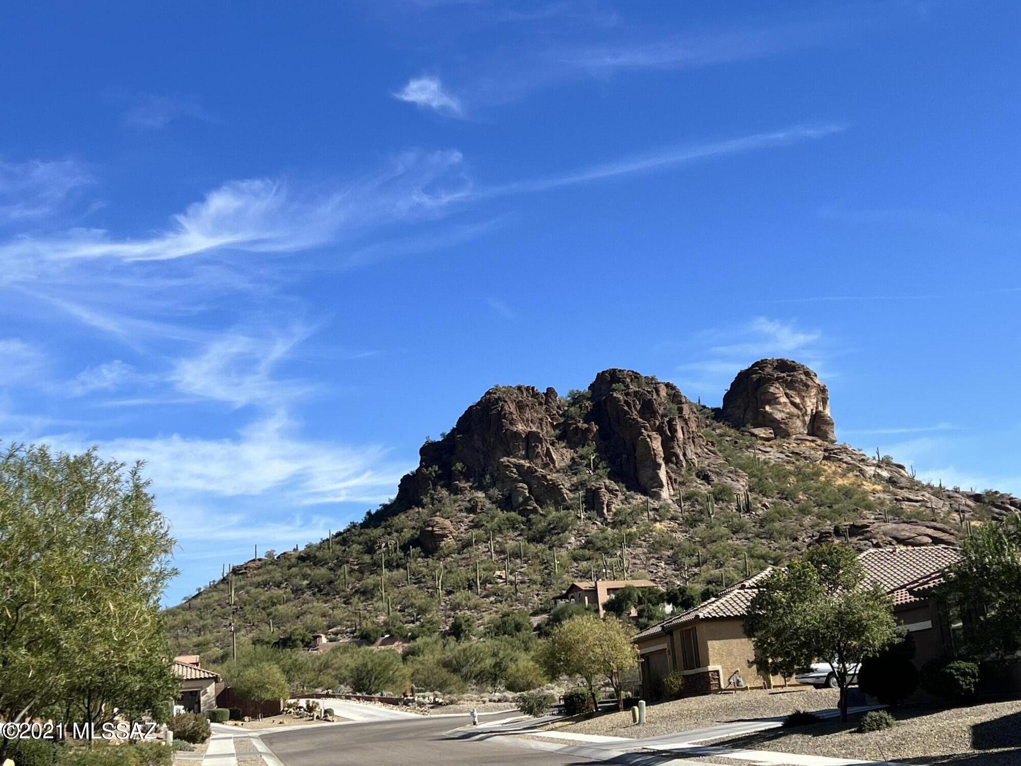 4300 W Bushmaster Peak Drive