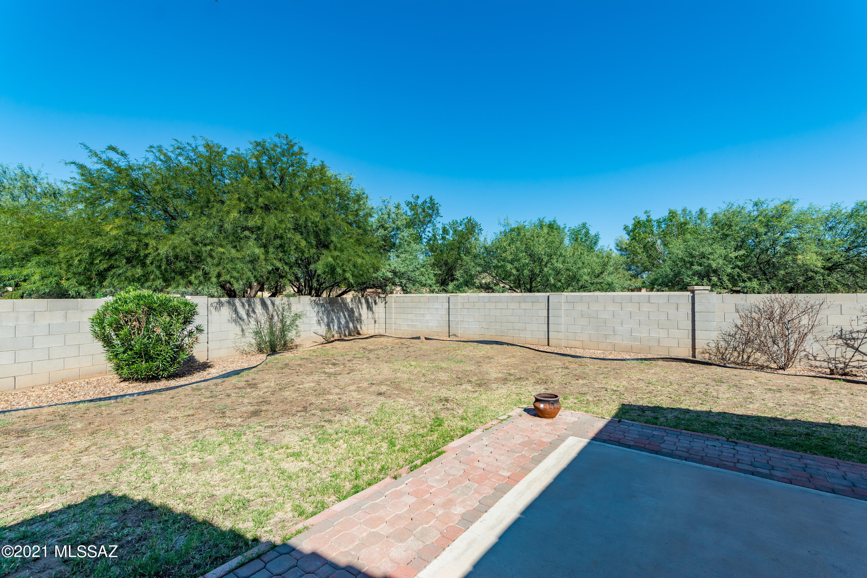 131 E Majesty Palm Place