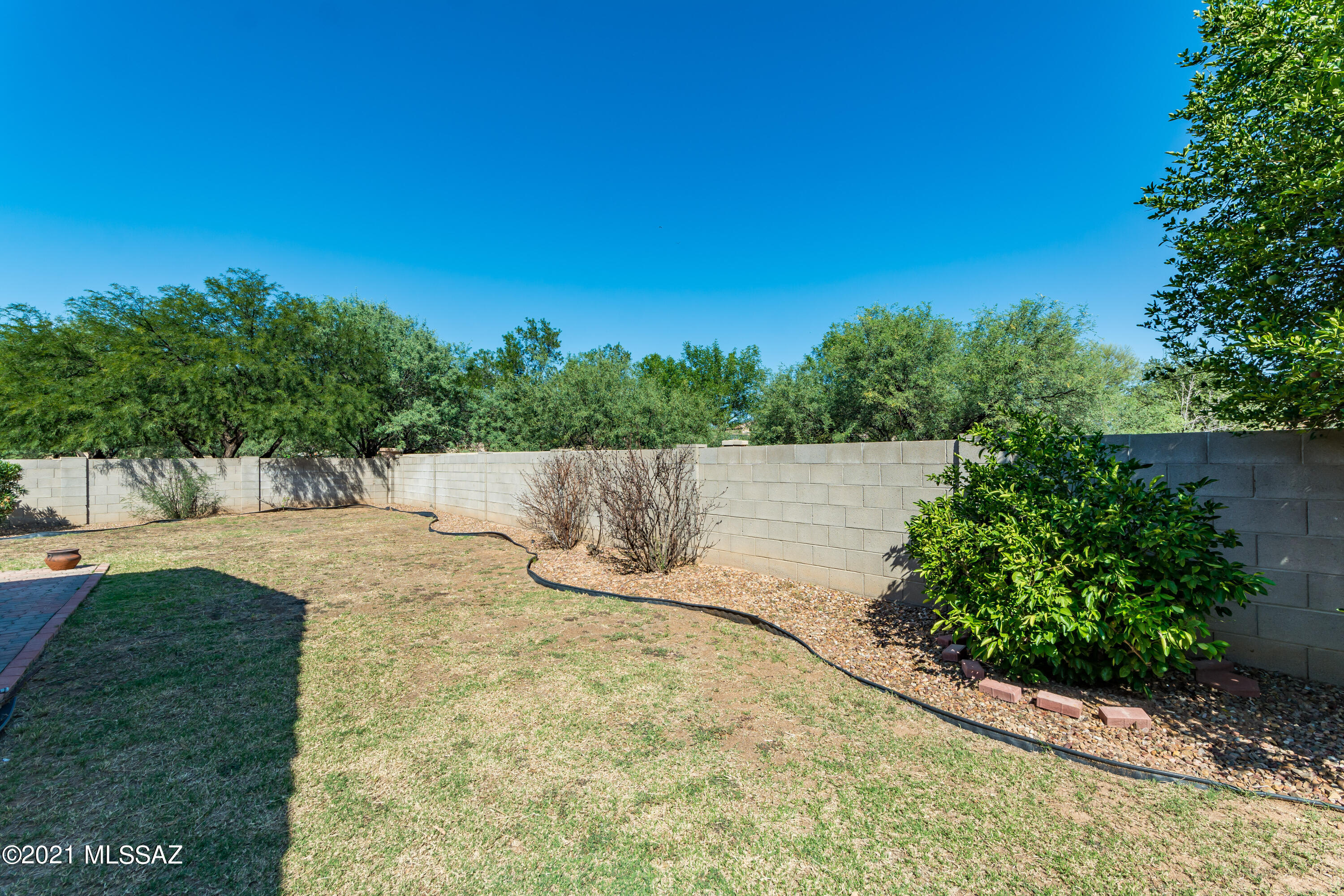 131 E Majesty Palm Place