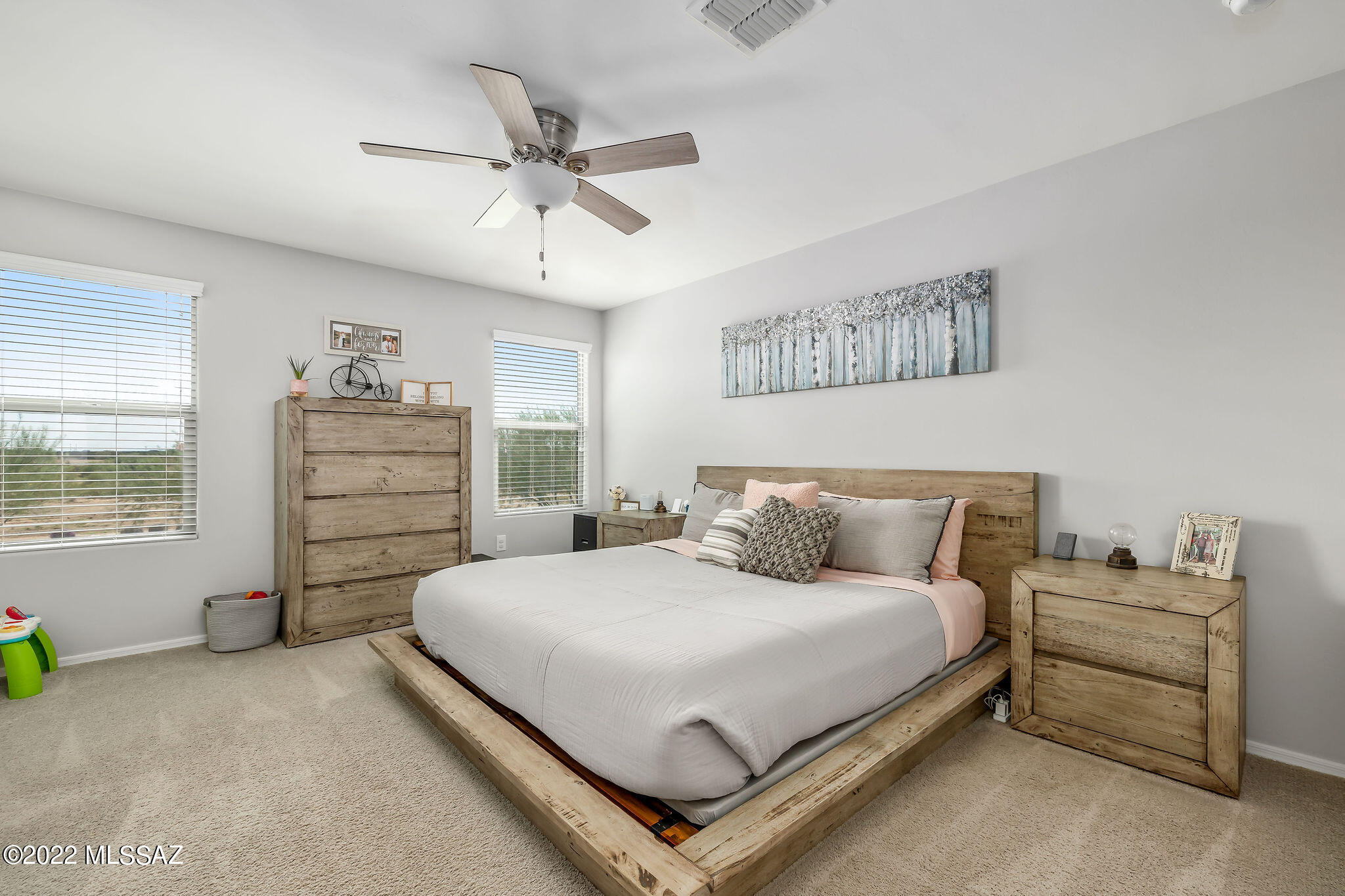 6580 E Via Jardin Verde