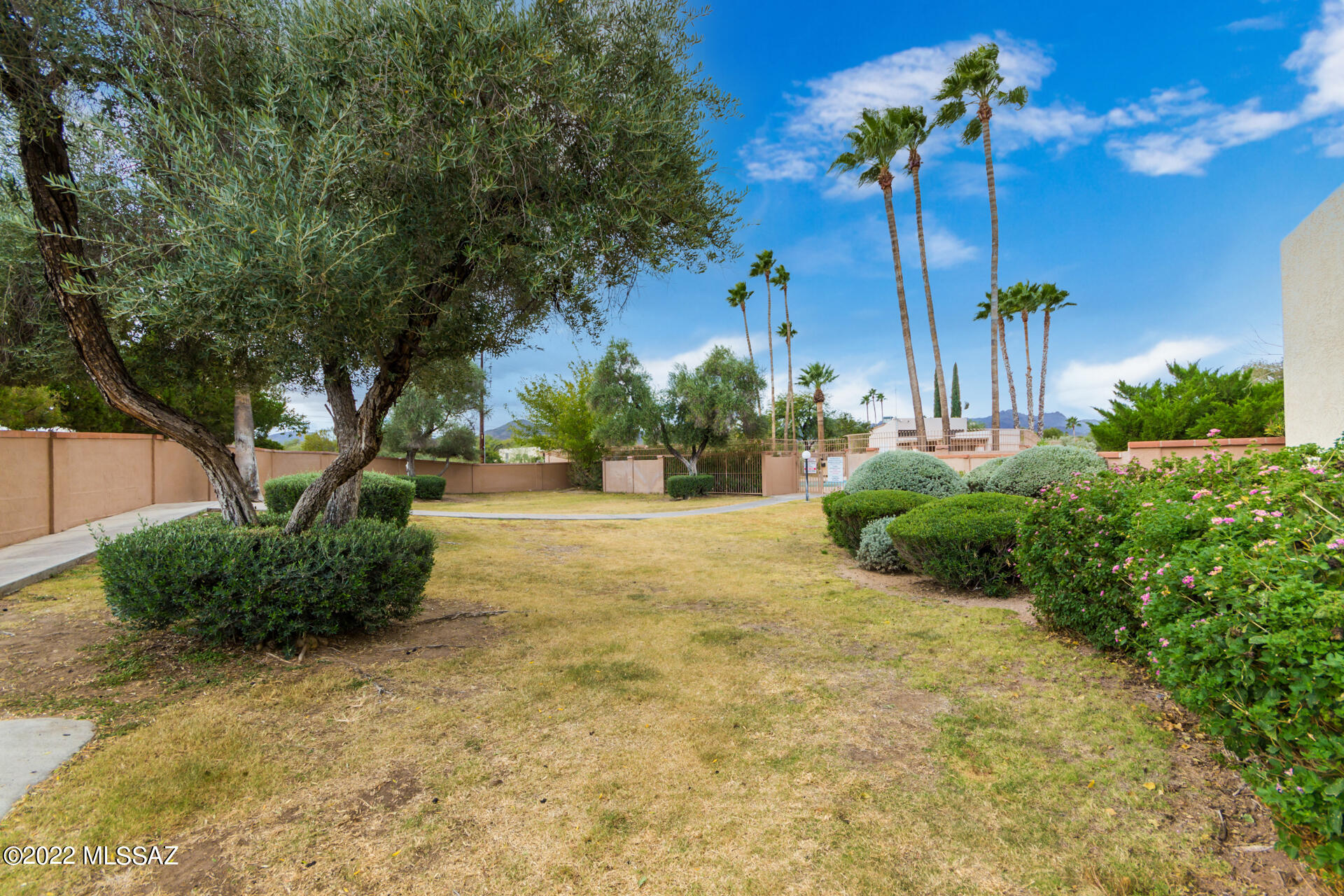 2460 N Ironwood Ridge Drive
