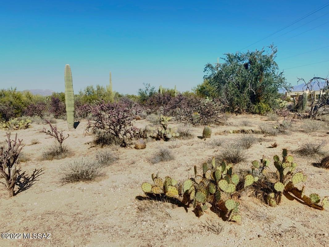 3750 W Pecos Way Unit: 1