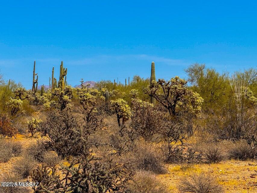0 N Hohokam Rd Lot 1 8.51 Acres
