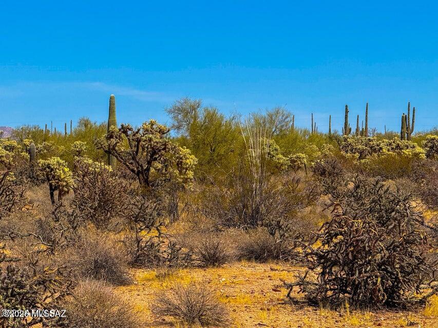 0 N Hohokam Rd Lot 1 8.51 Acres