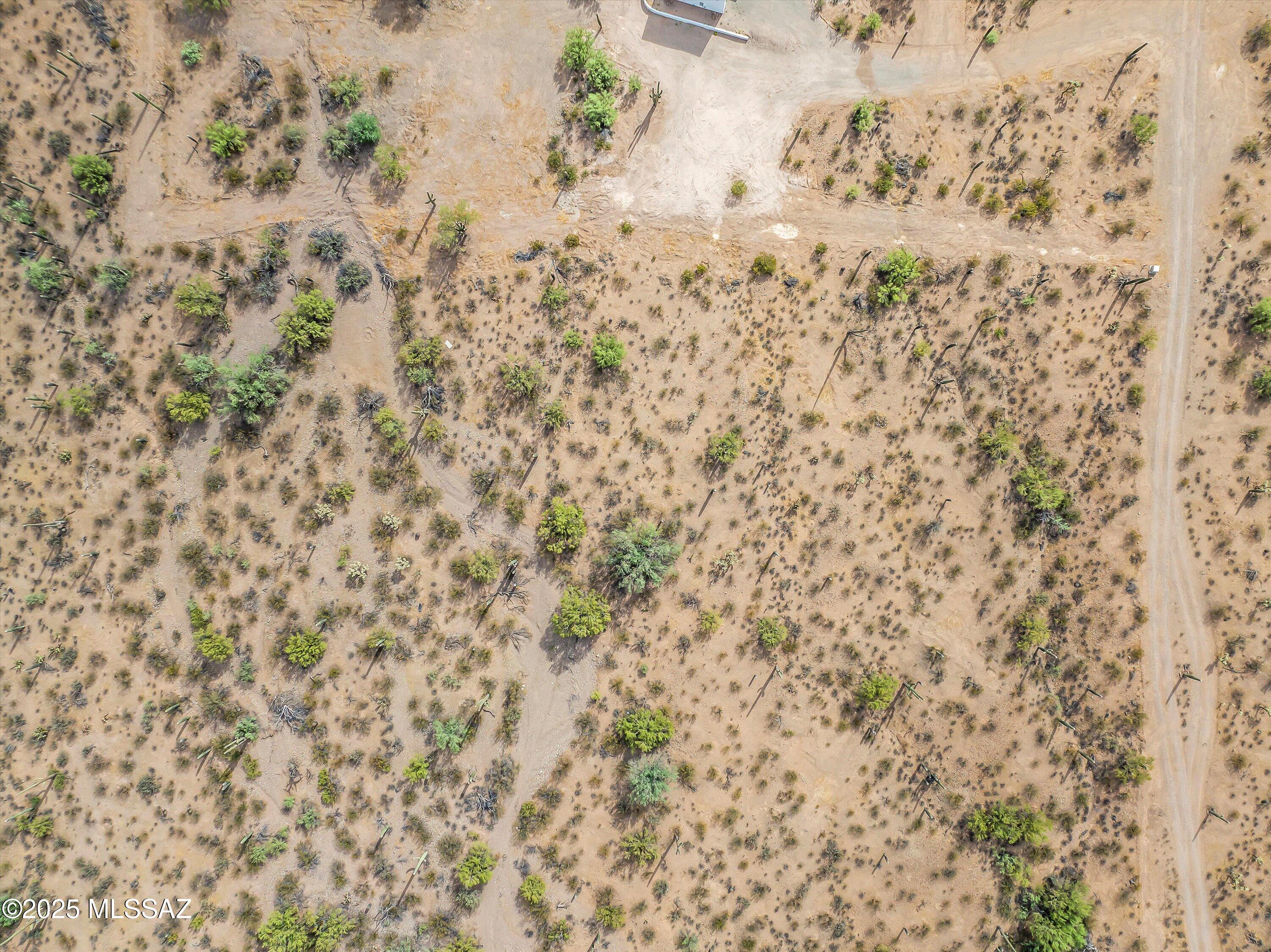 1650 N Sandario Road