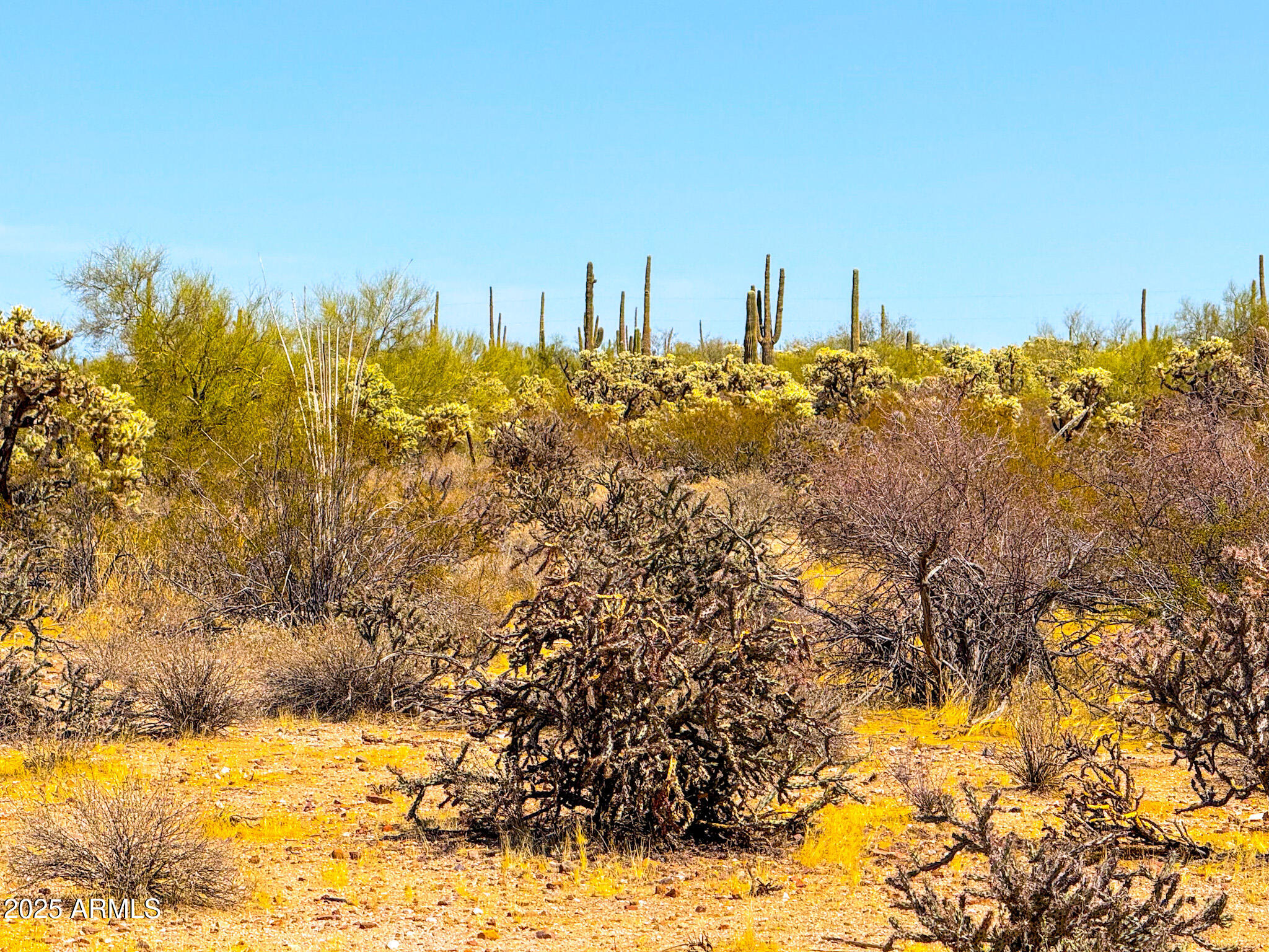 0 N HOHOKAM RD. 8.51 ACRES LOT A, -
