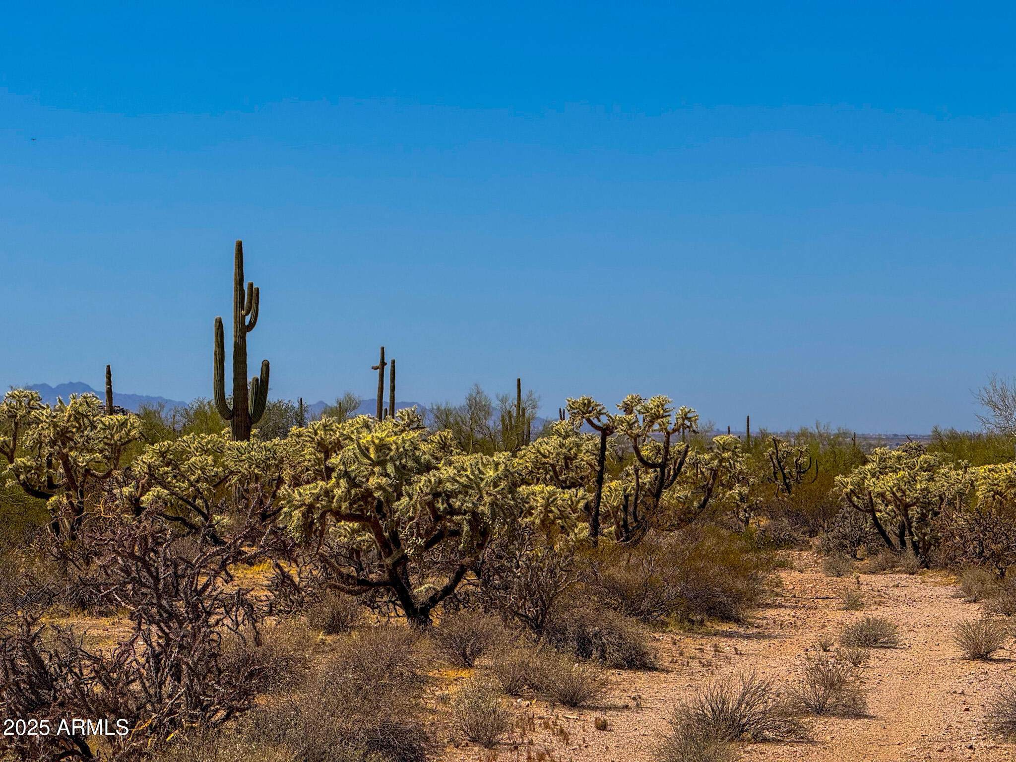 0 N HOHOKAM RD. 8.51 ACRES LOT A, -
