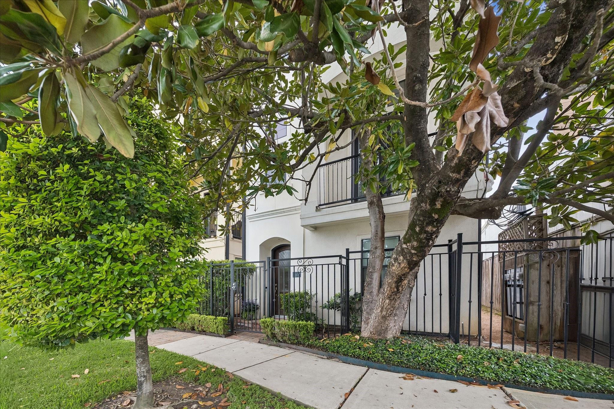1407 Shearn Street