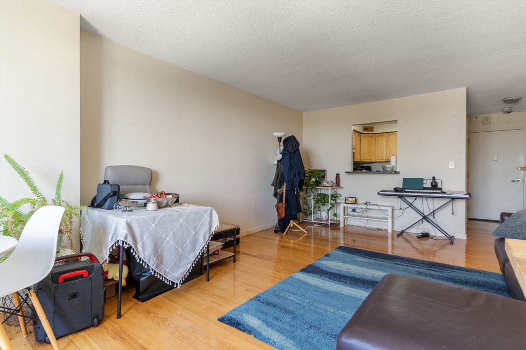 33 Pond Ave # 1102