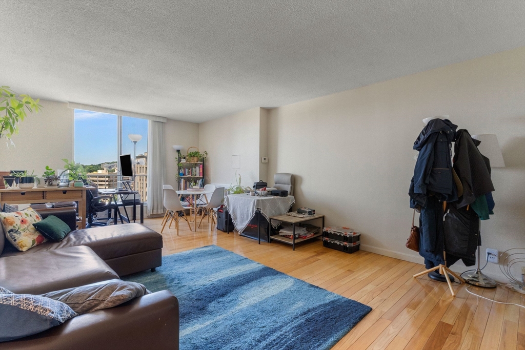 33 Pond Ave # 1102