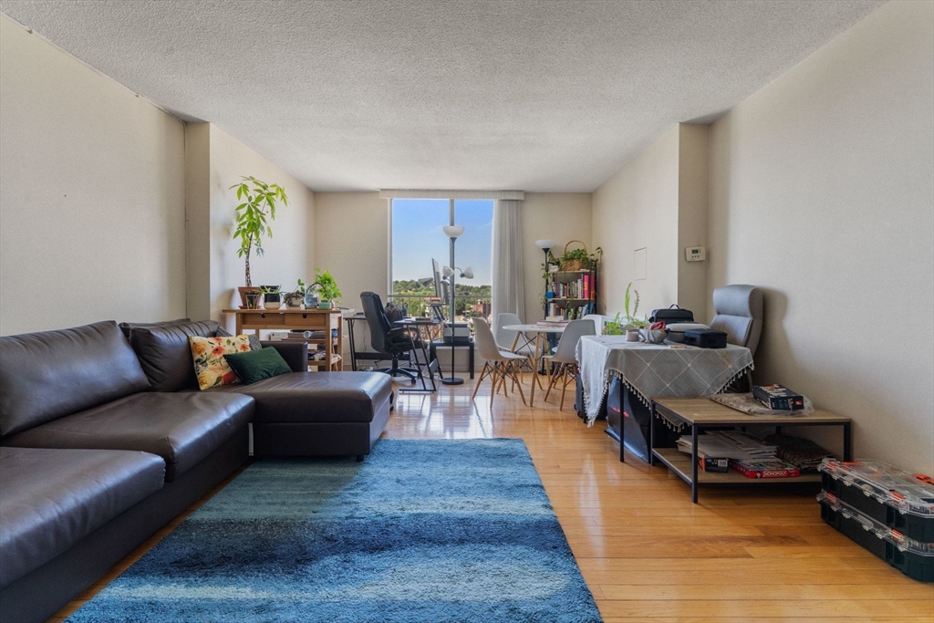 33 Pond Ave # 1102