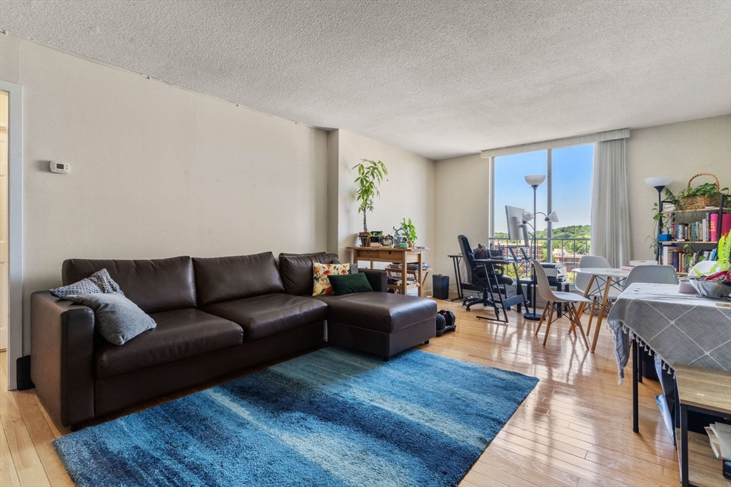 33 Pond Ave # 1102