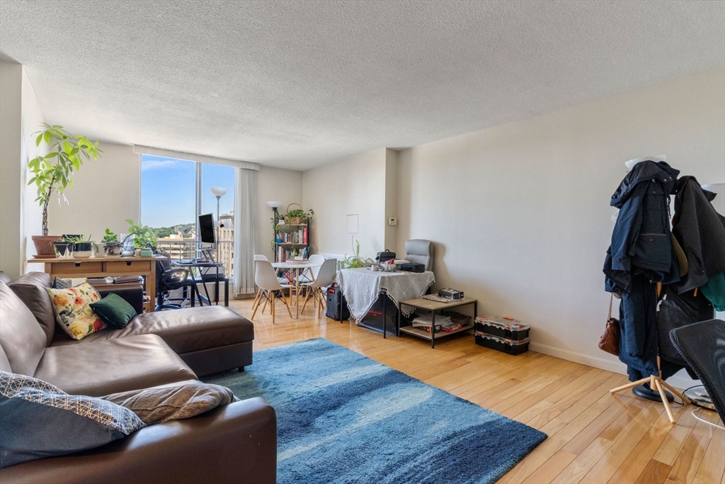 33 Pond Ave # 1102