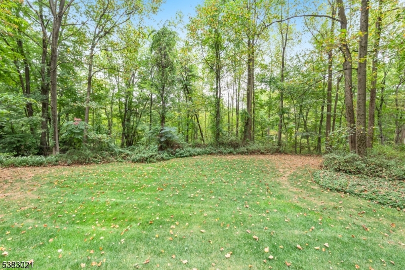 581 Phillip Ln