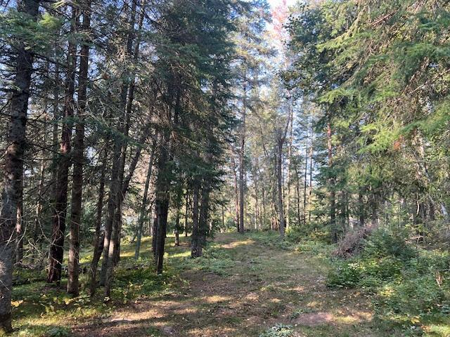 TBD Frost Bite Road