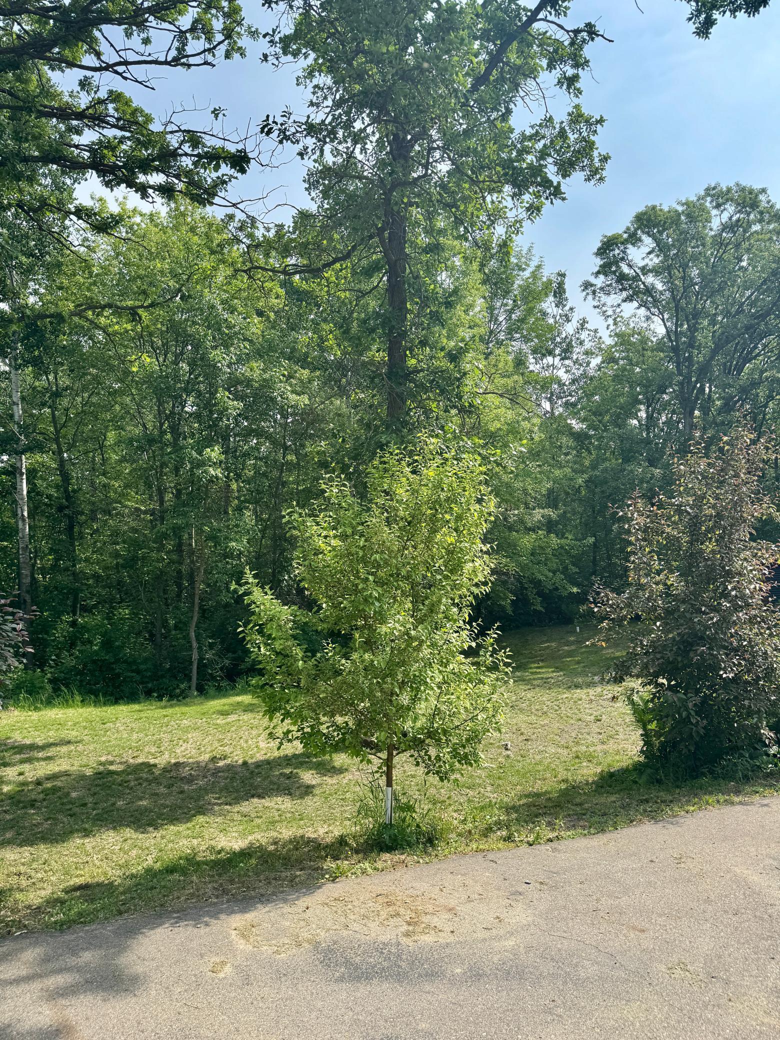 13608 Blue Heron Trail