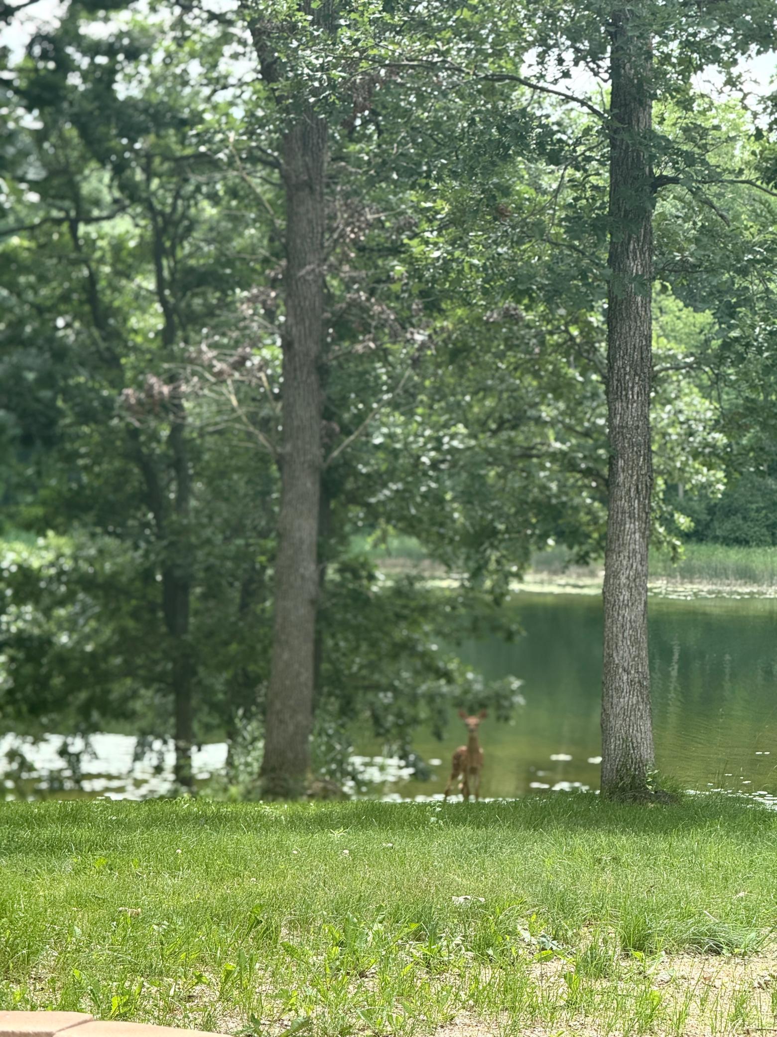 13608 Blue Heron Trail