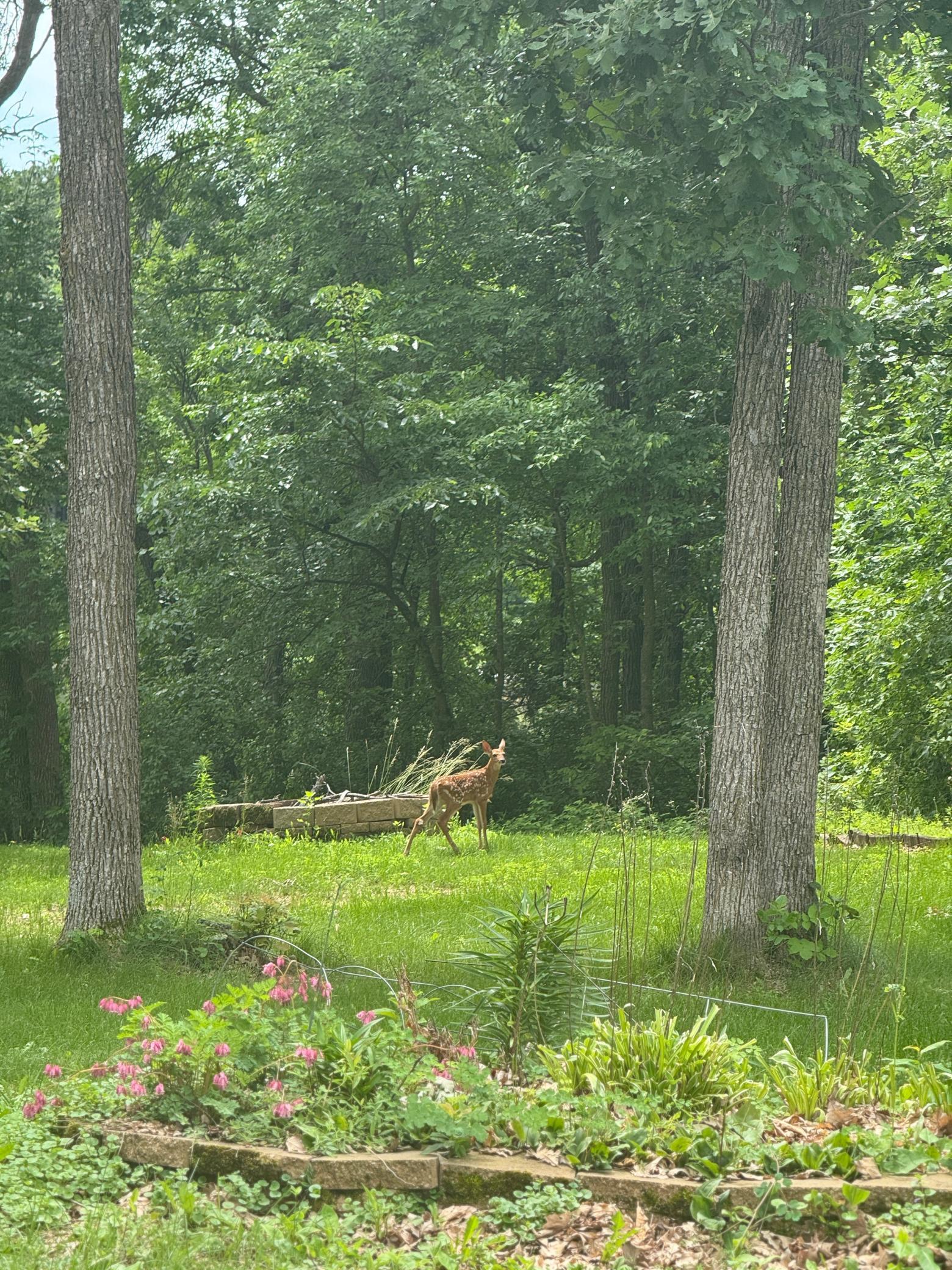 13608 Blue Heron Trail