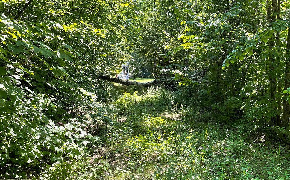 Lot 4 Seclusion Point Road