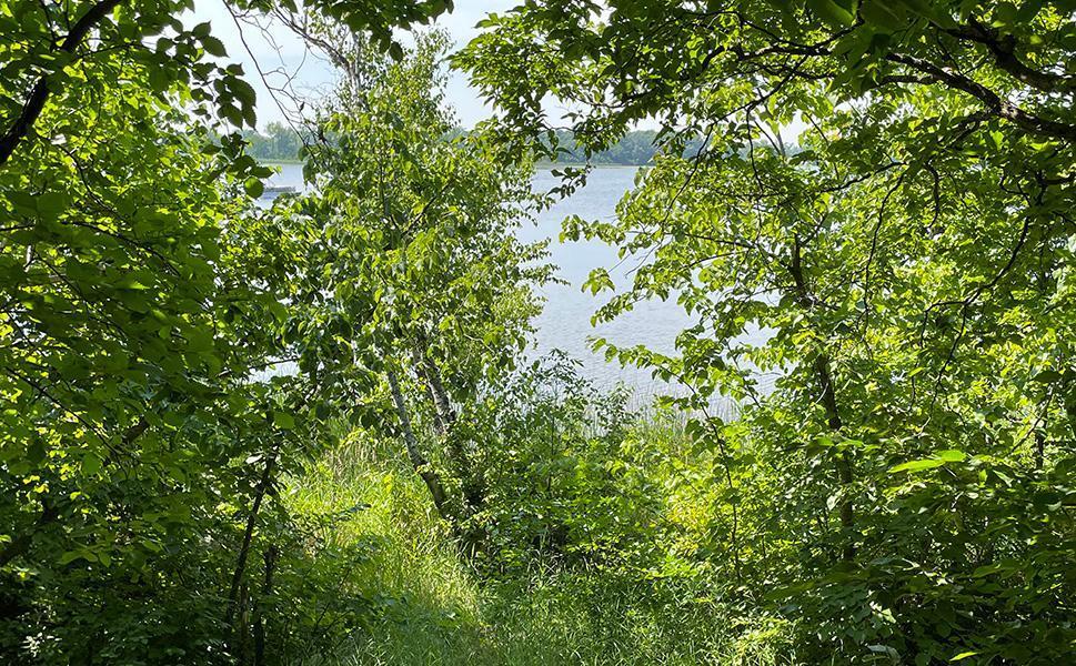 Lot 4 Seclusion Point Road
